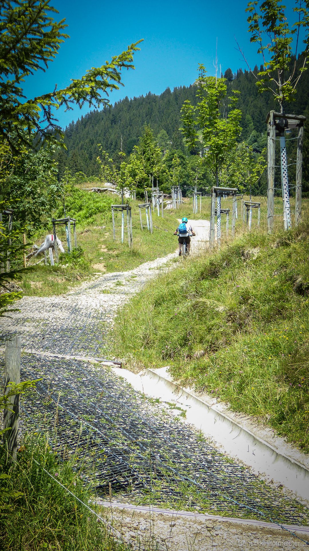 06_Rigi, Specialized Turbo Levo FSR_07. Juli 2017.jpg