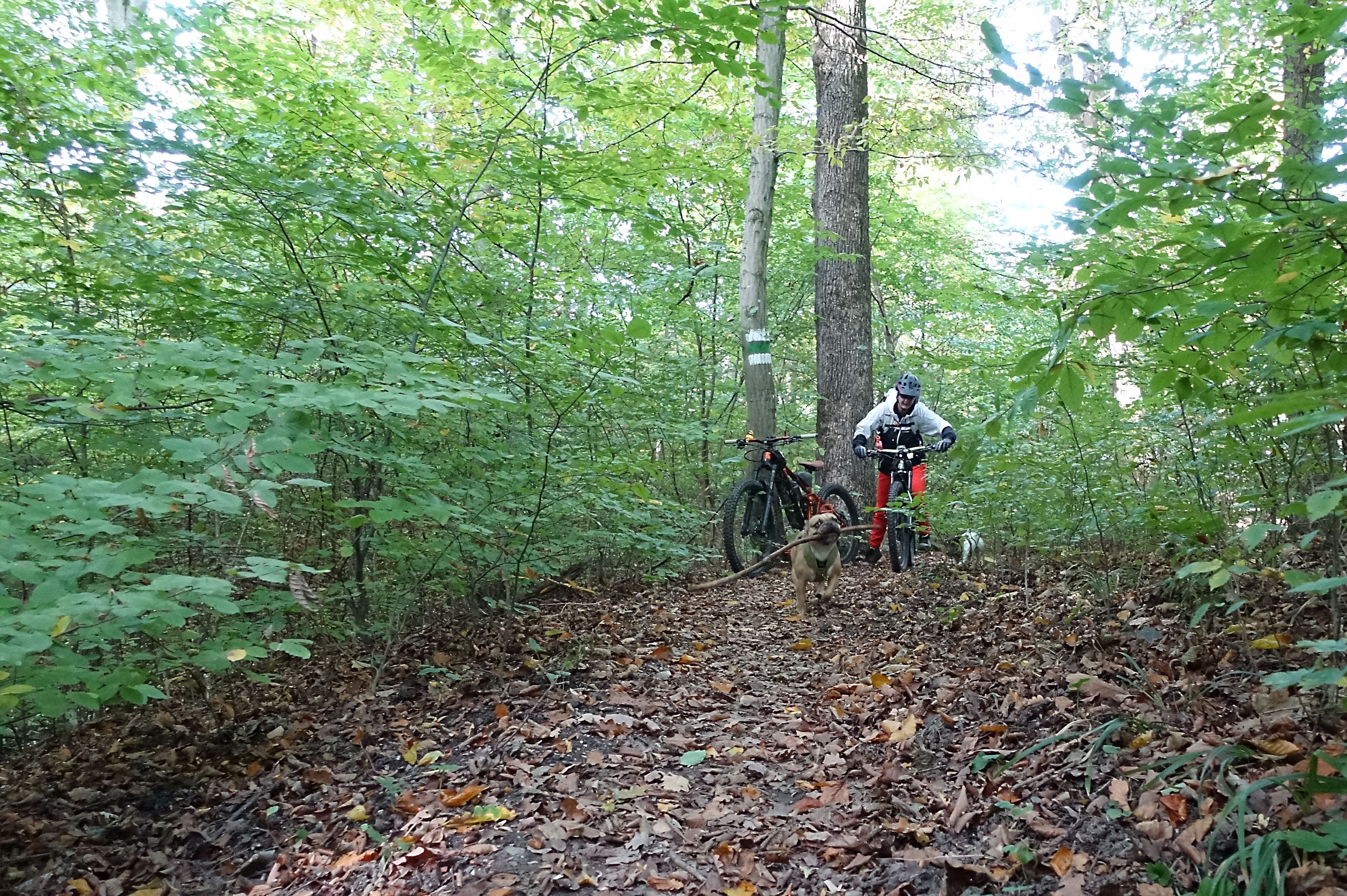 091022-01.JPG
