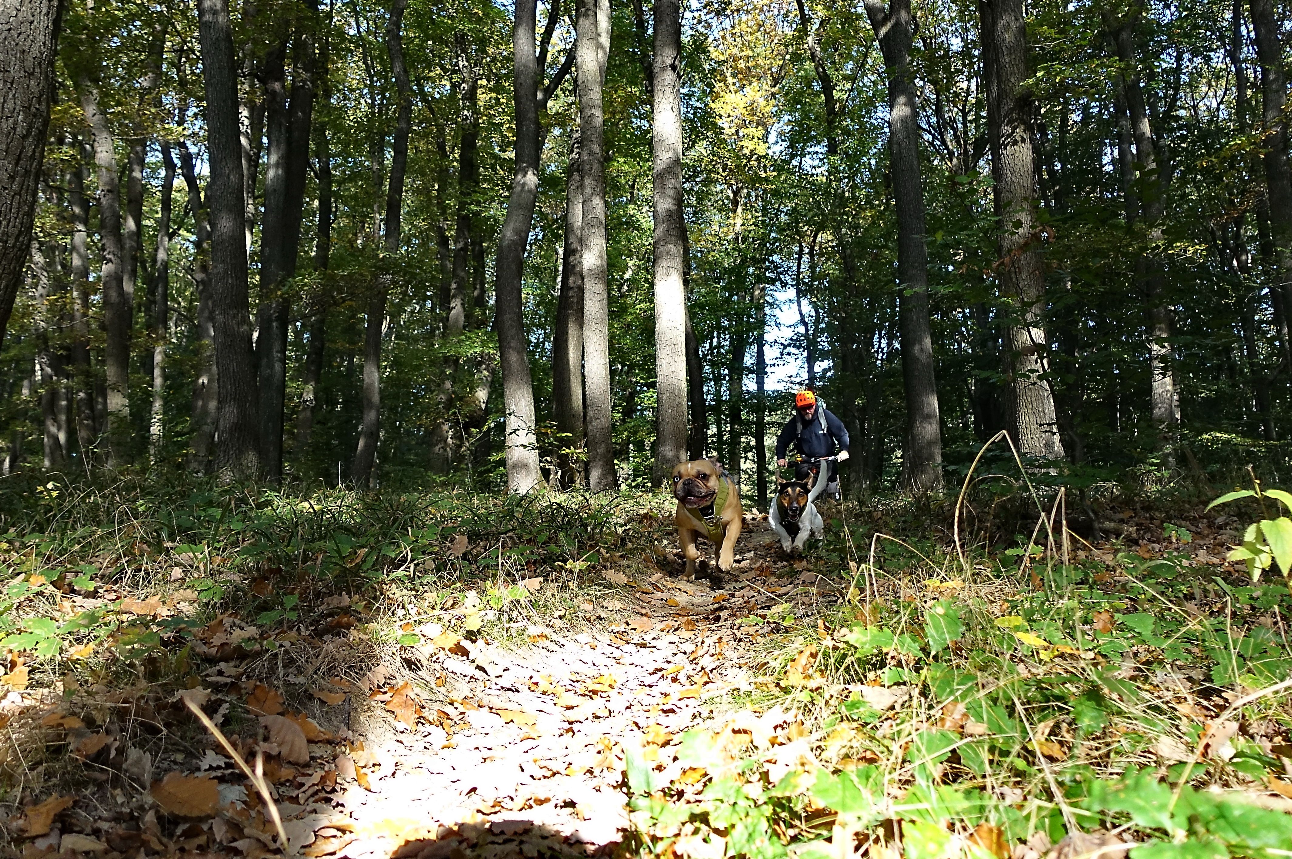 091022-02.JPG