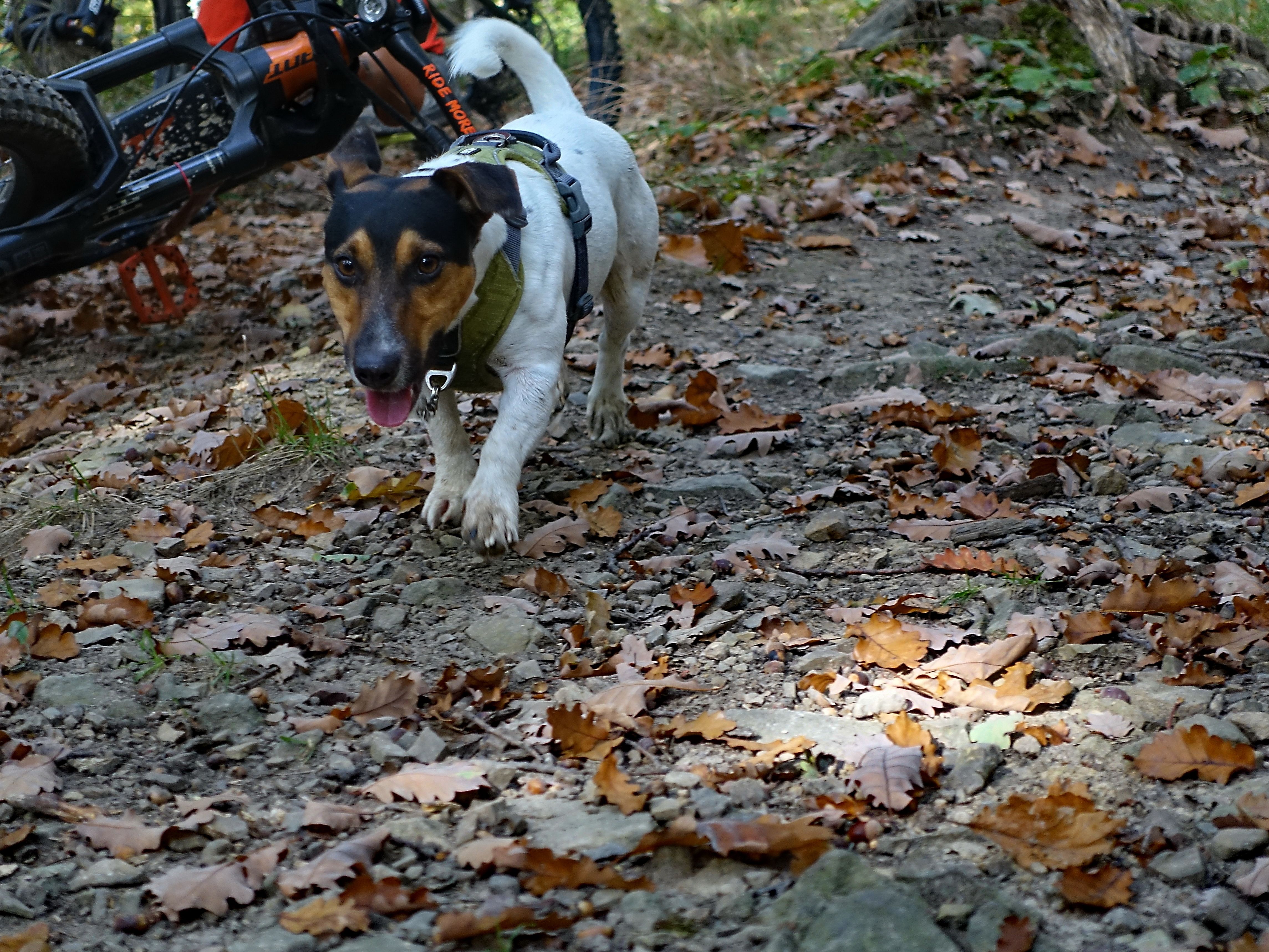 091022-04.JPG