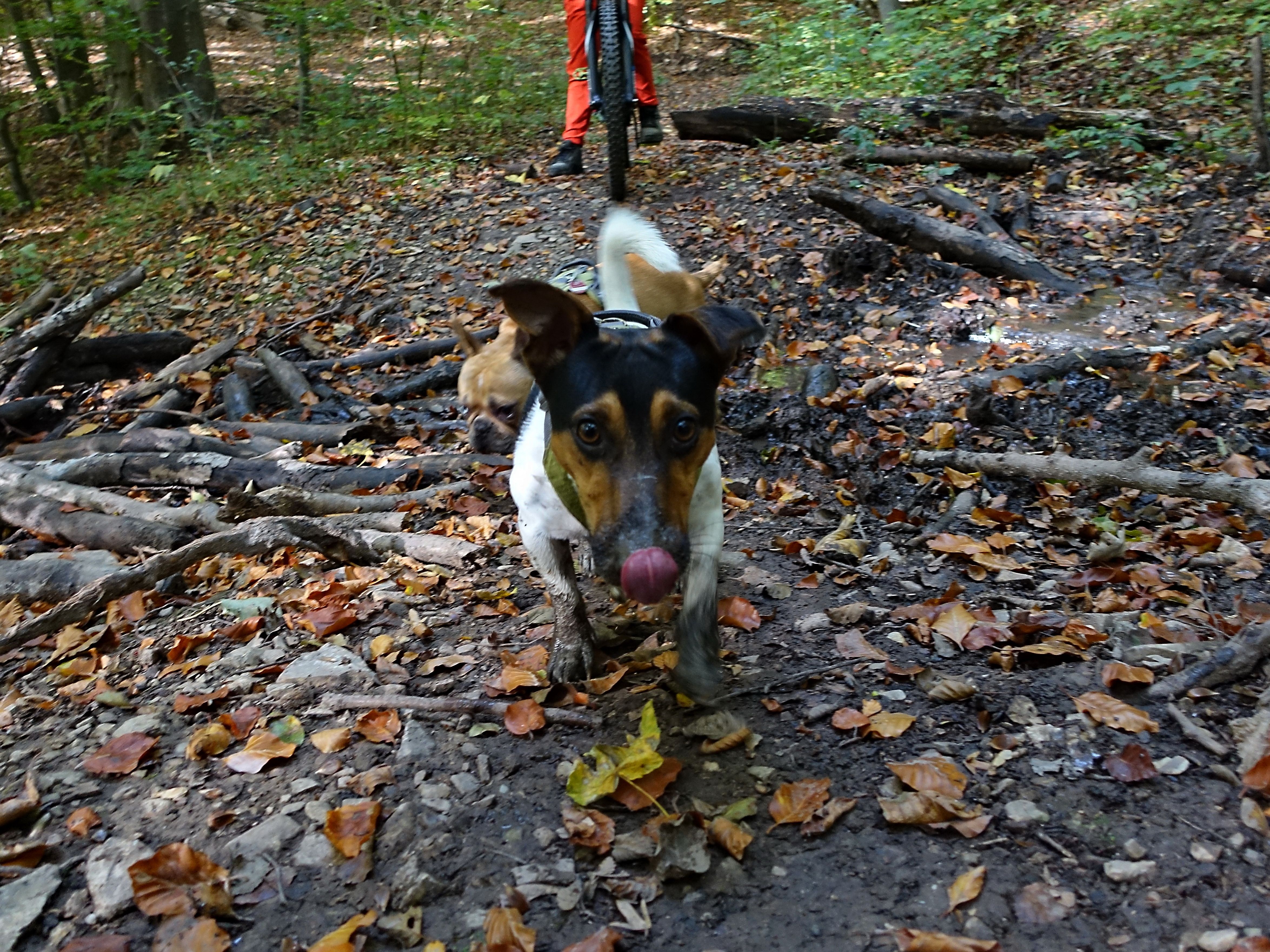 091022-06.JPG
