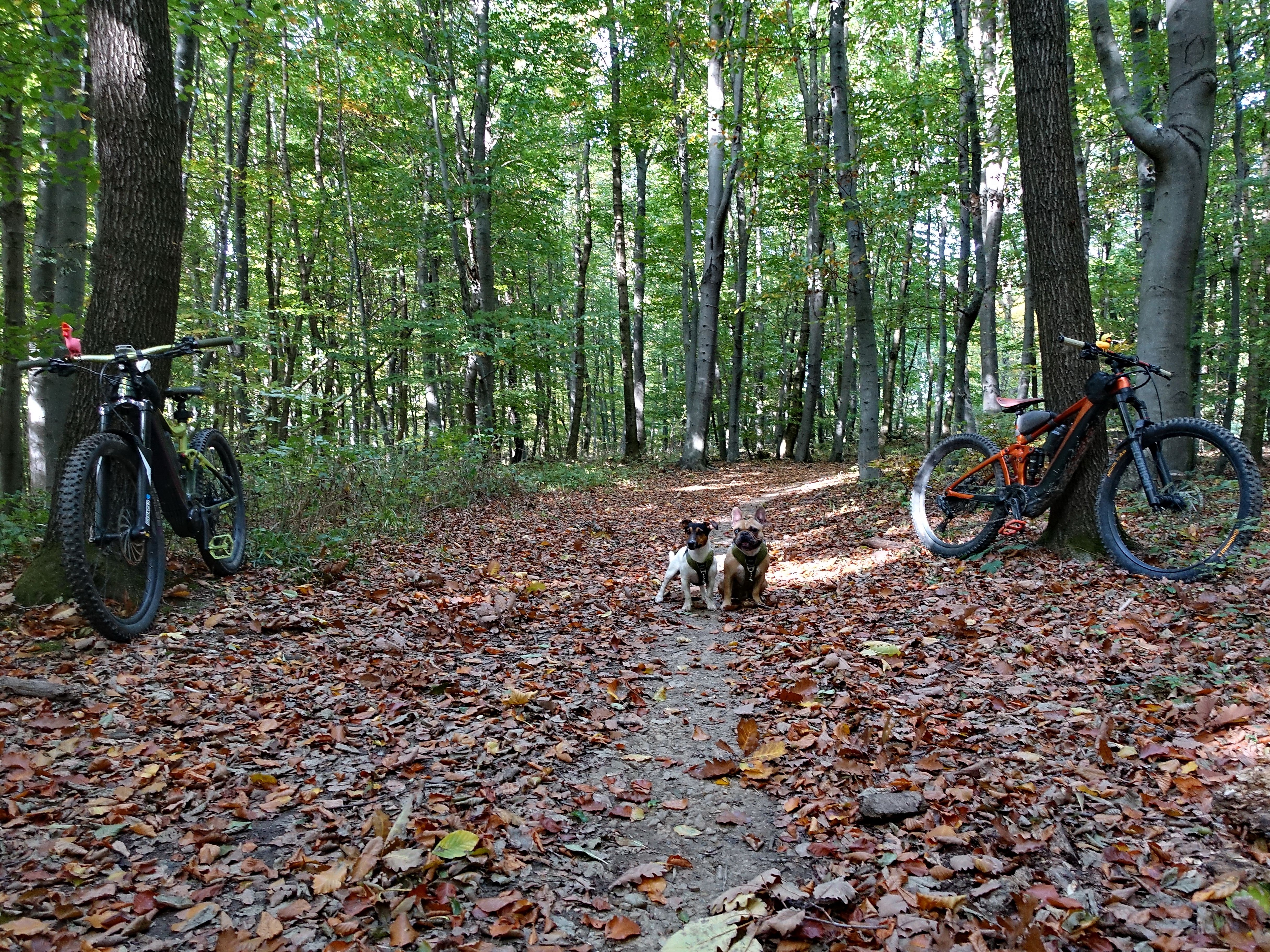091022-07.JPG