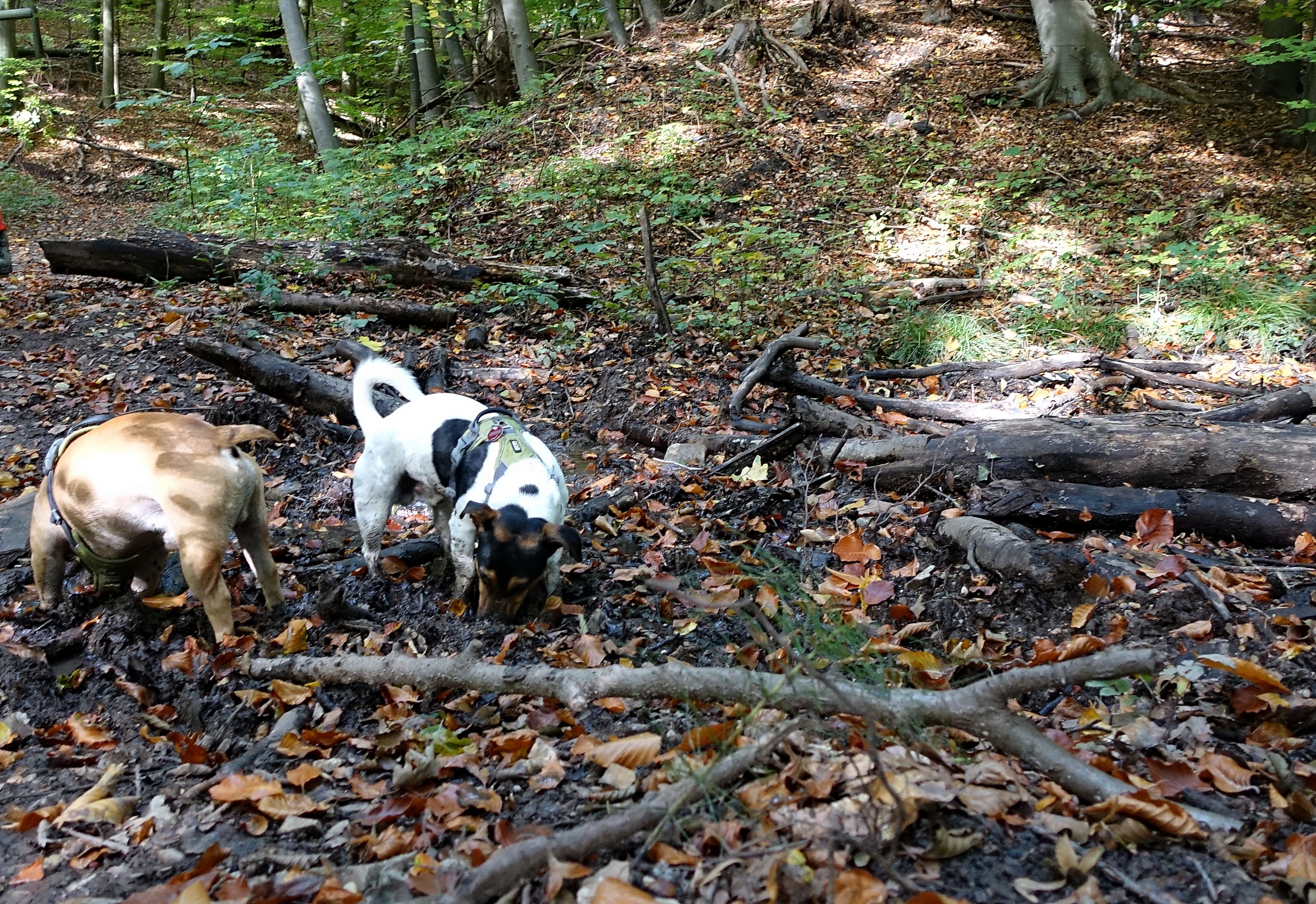 091022-08.JPG