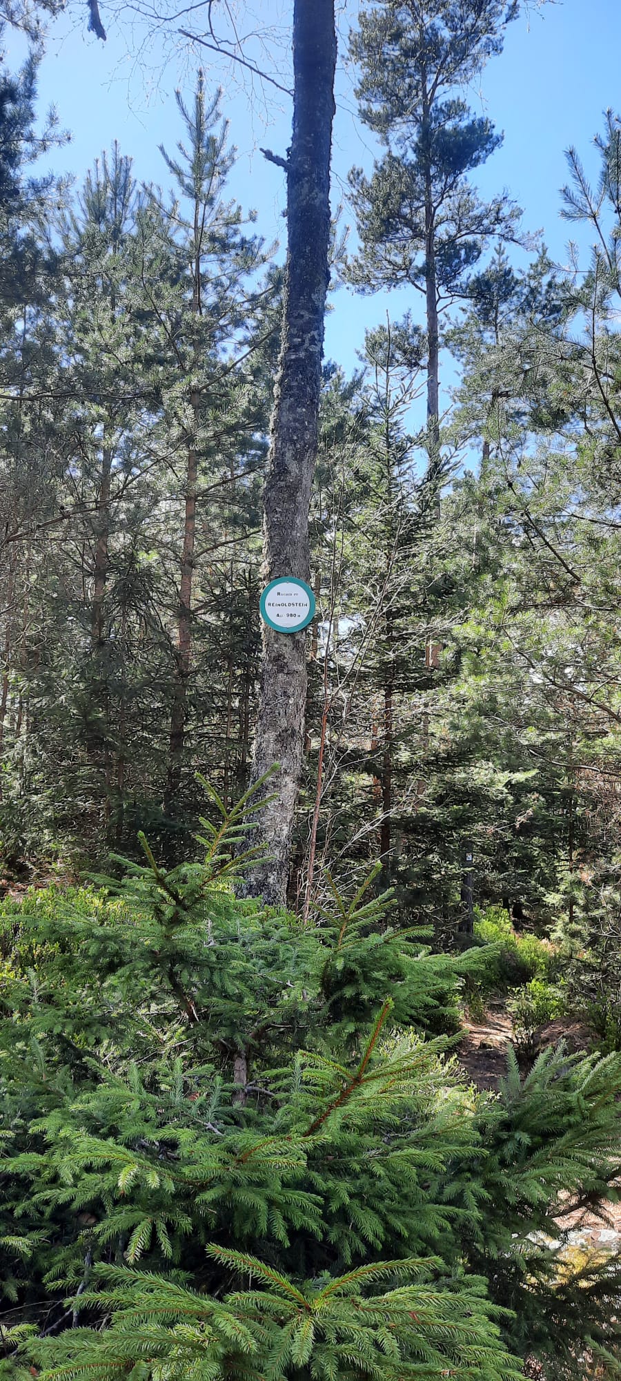 1000010105.jpg