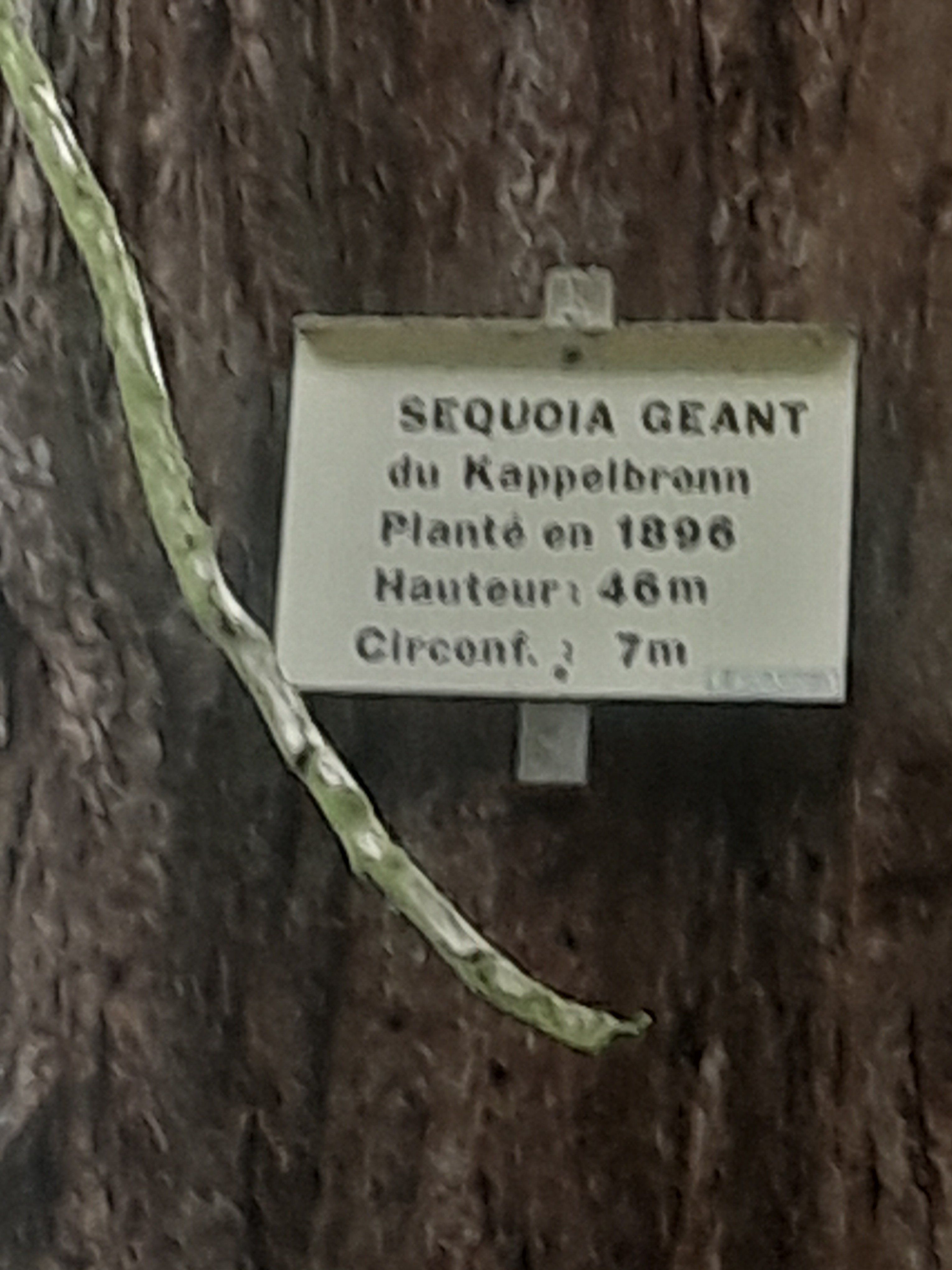 1000023718.jpg