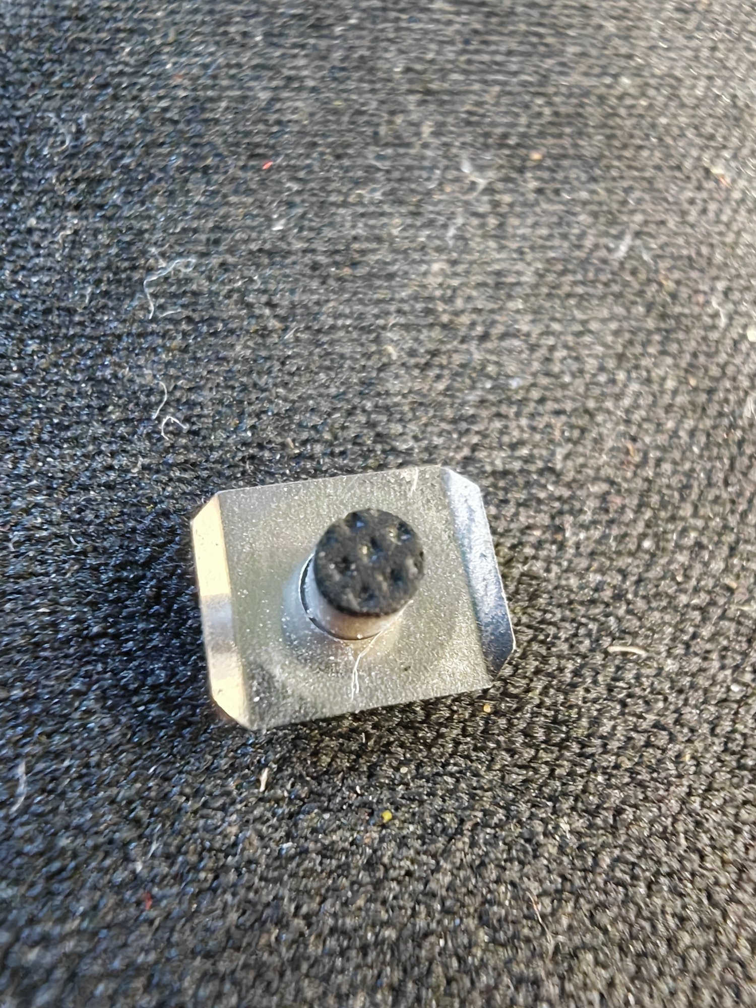 1000028108.jpg