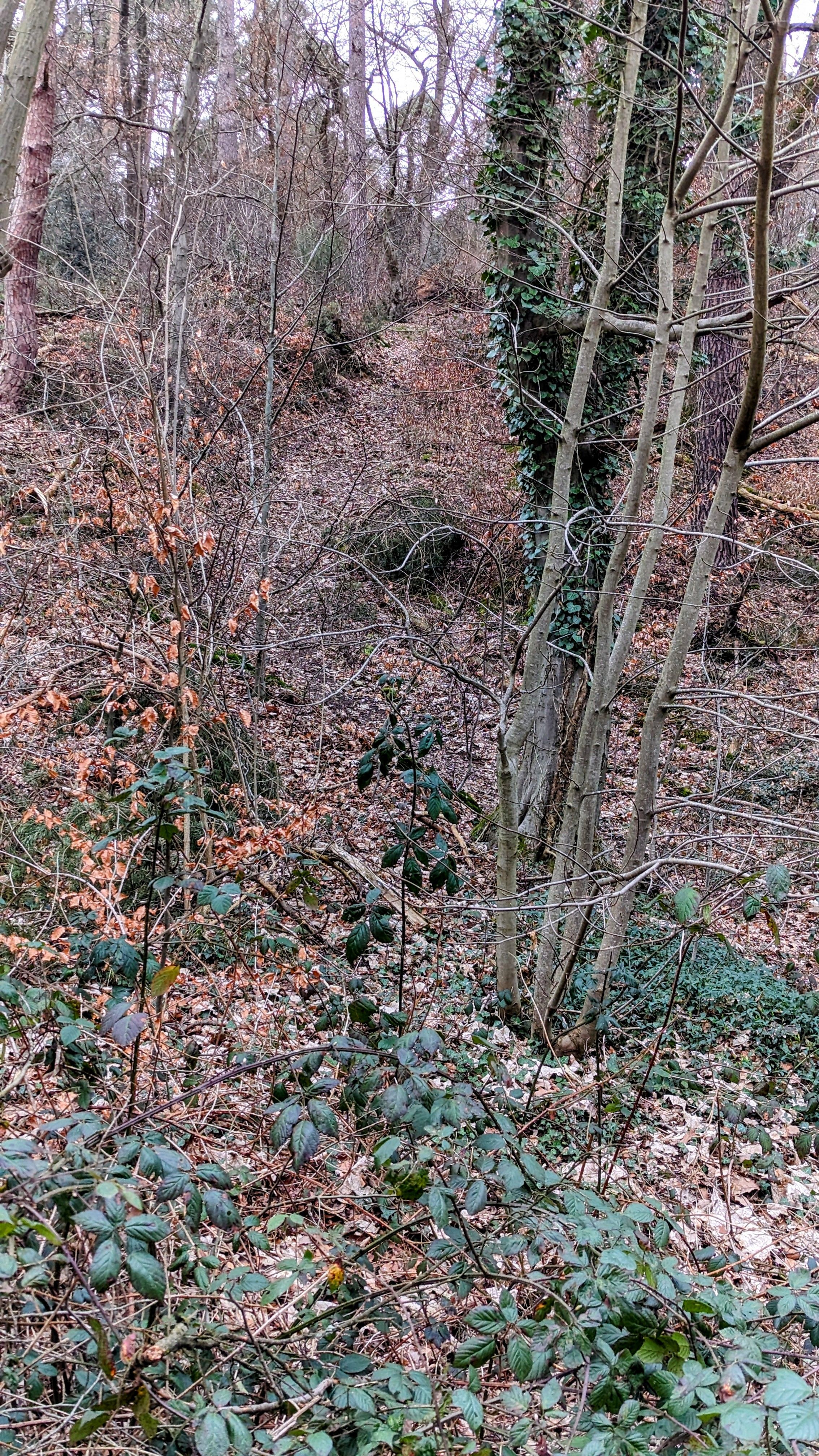 1000032533.jpg
