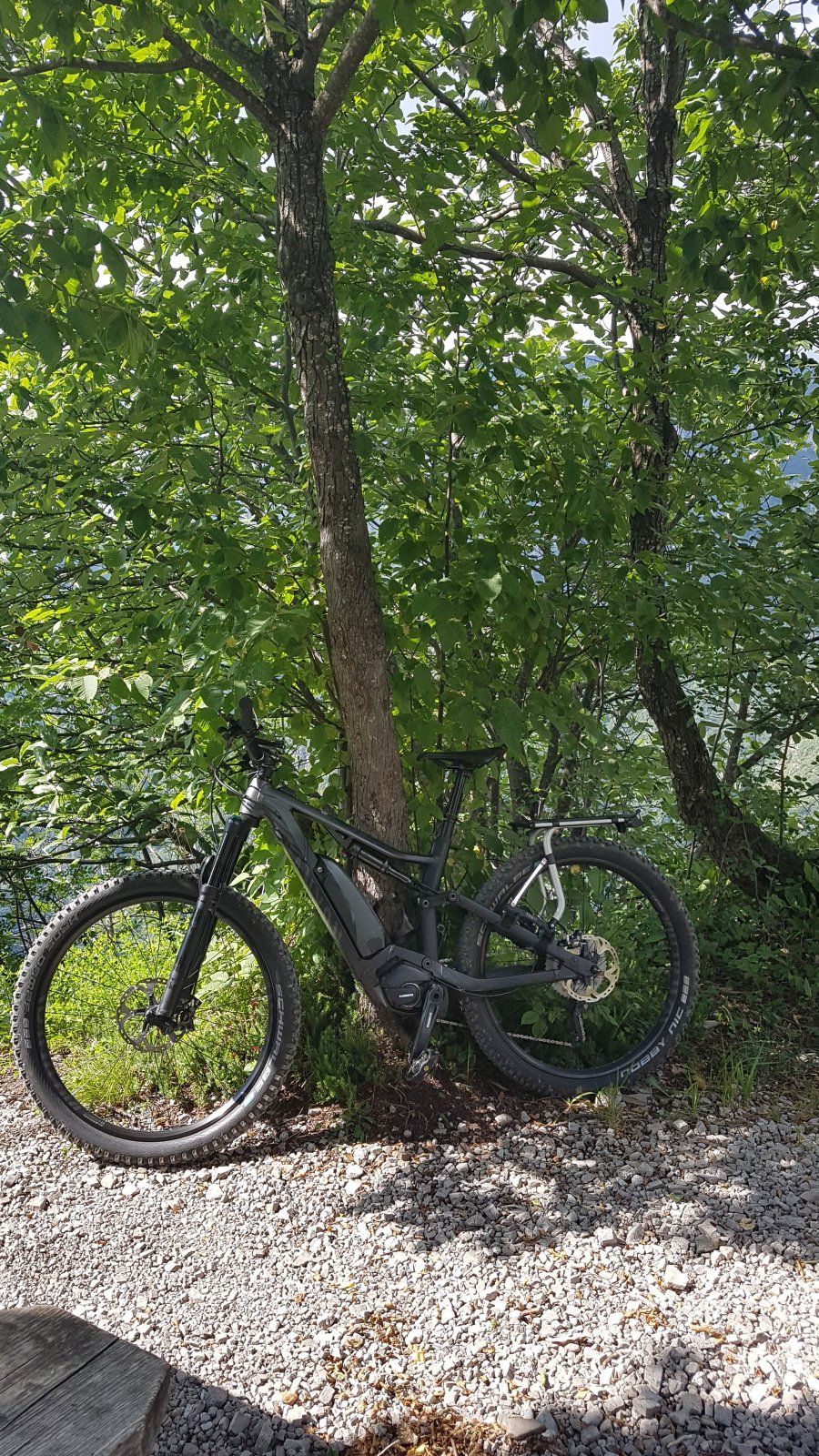 20190804_103501.jpg
