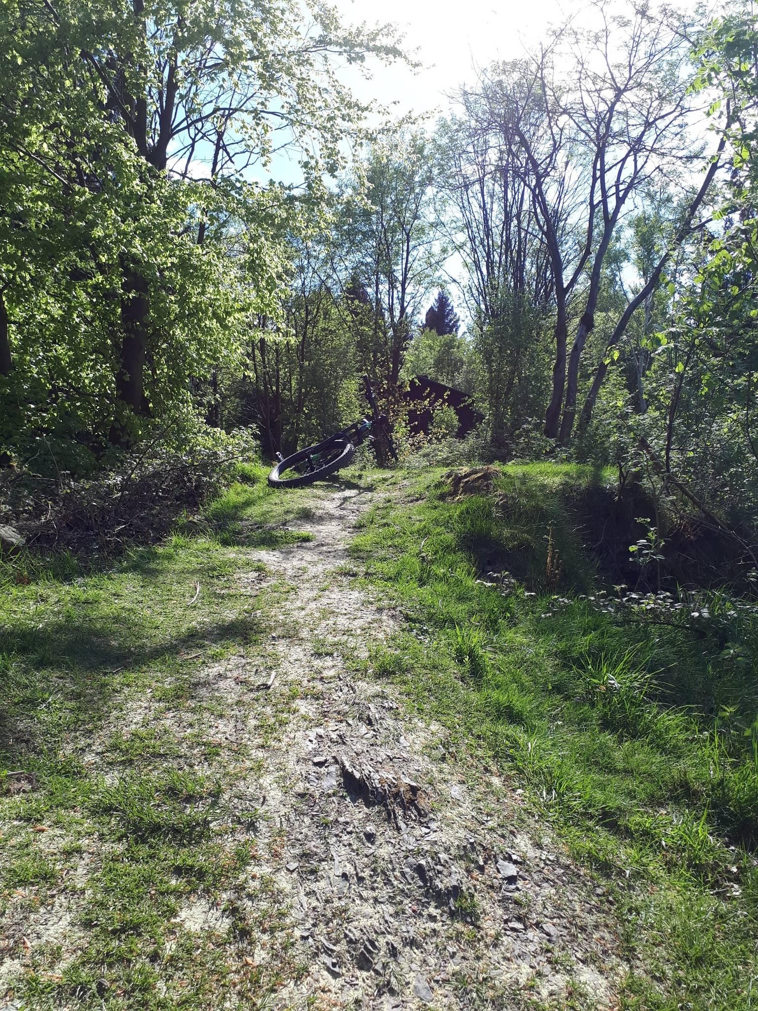 1631cd9a258.jpg