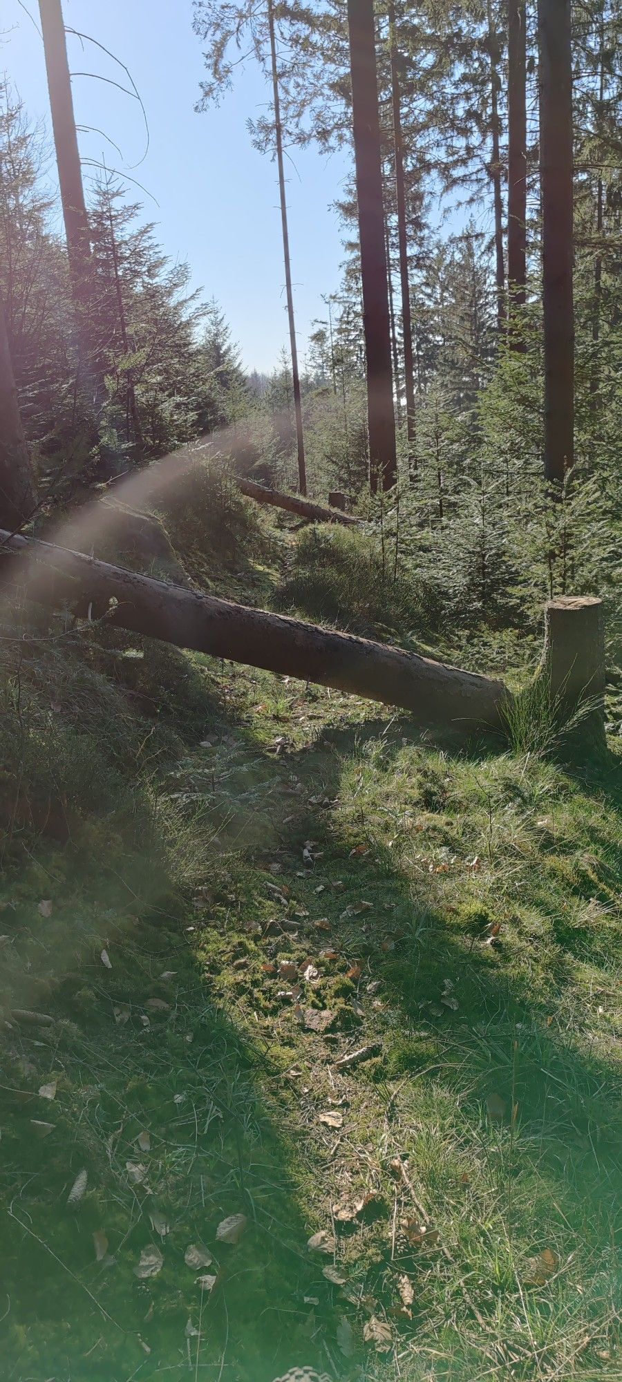 1647961222763.jpg