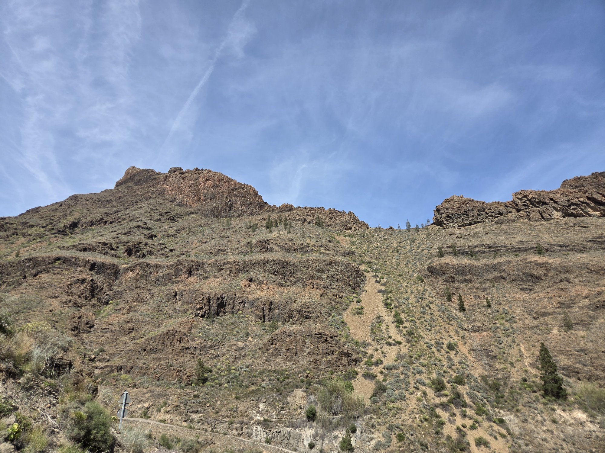 17228-jpg.100853
