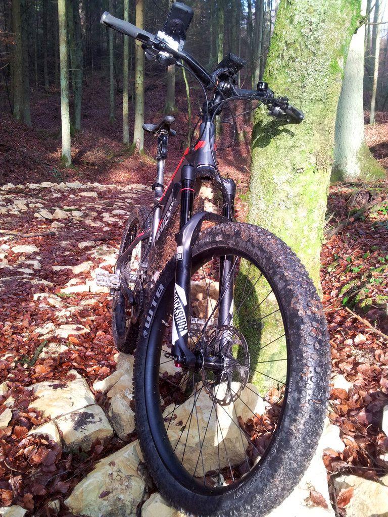 2015-12-05 12.35.14.jpg