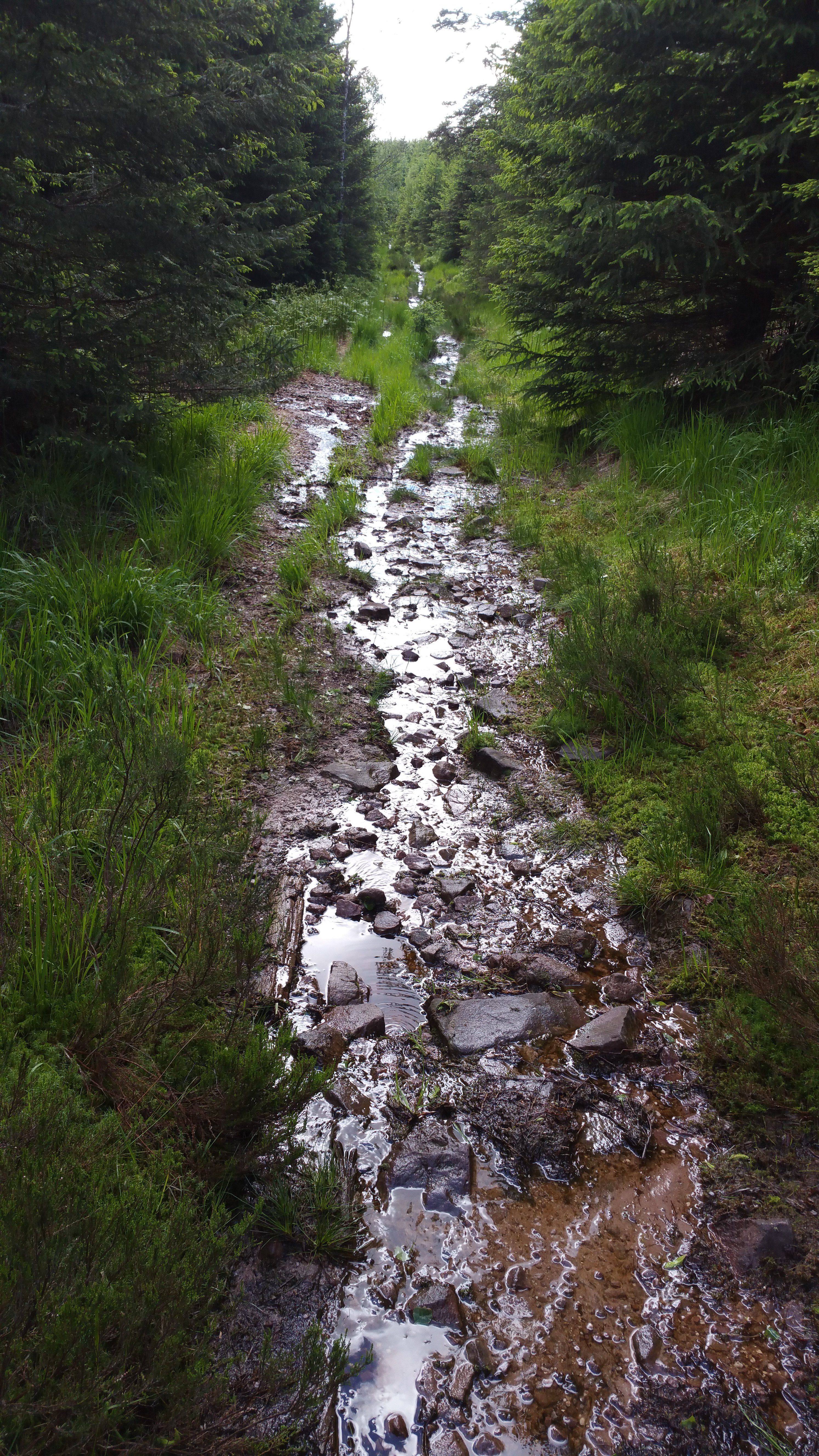 20160620_095542.jpg