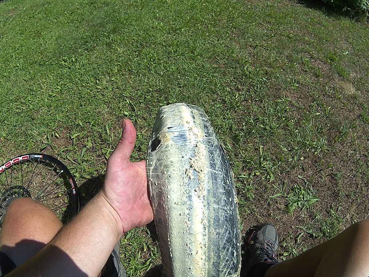 20160719_111400.JPG