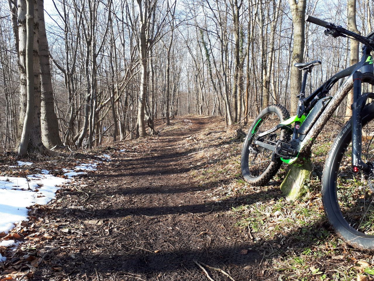 20180218_133900.jpg