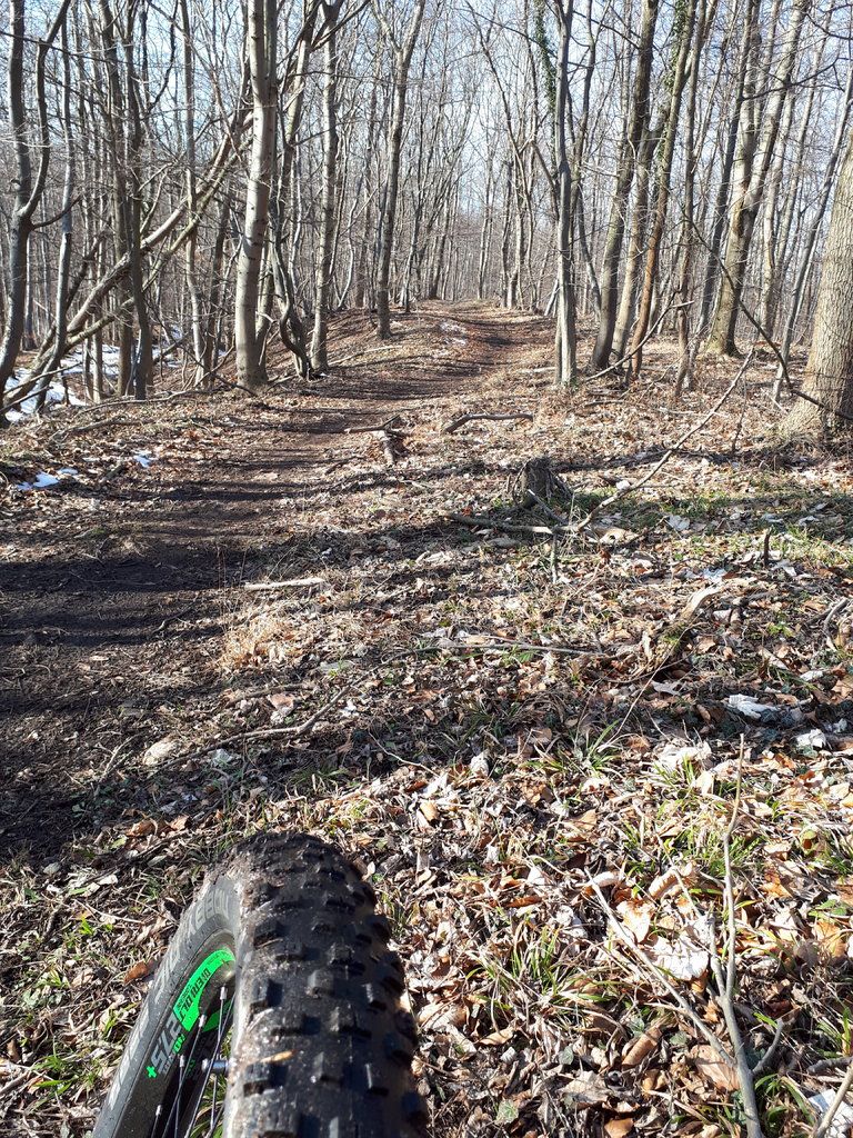 20180218_133915.jpg