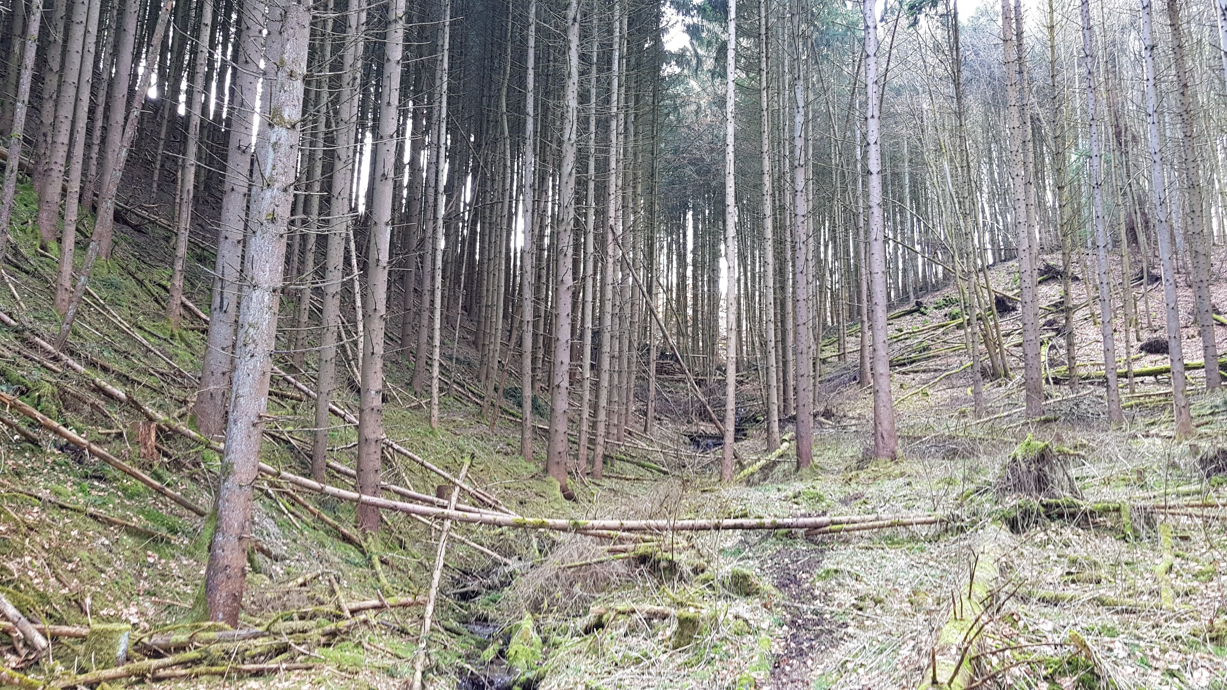 20180402_154957.jpg