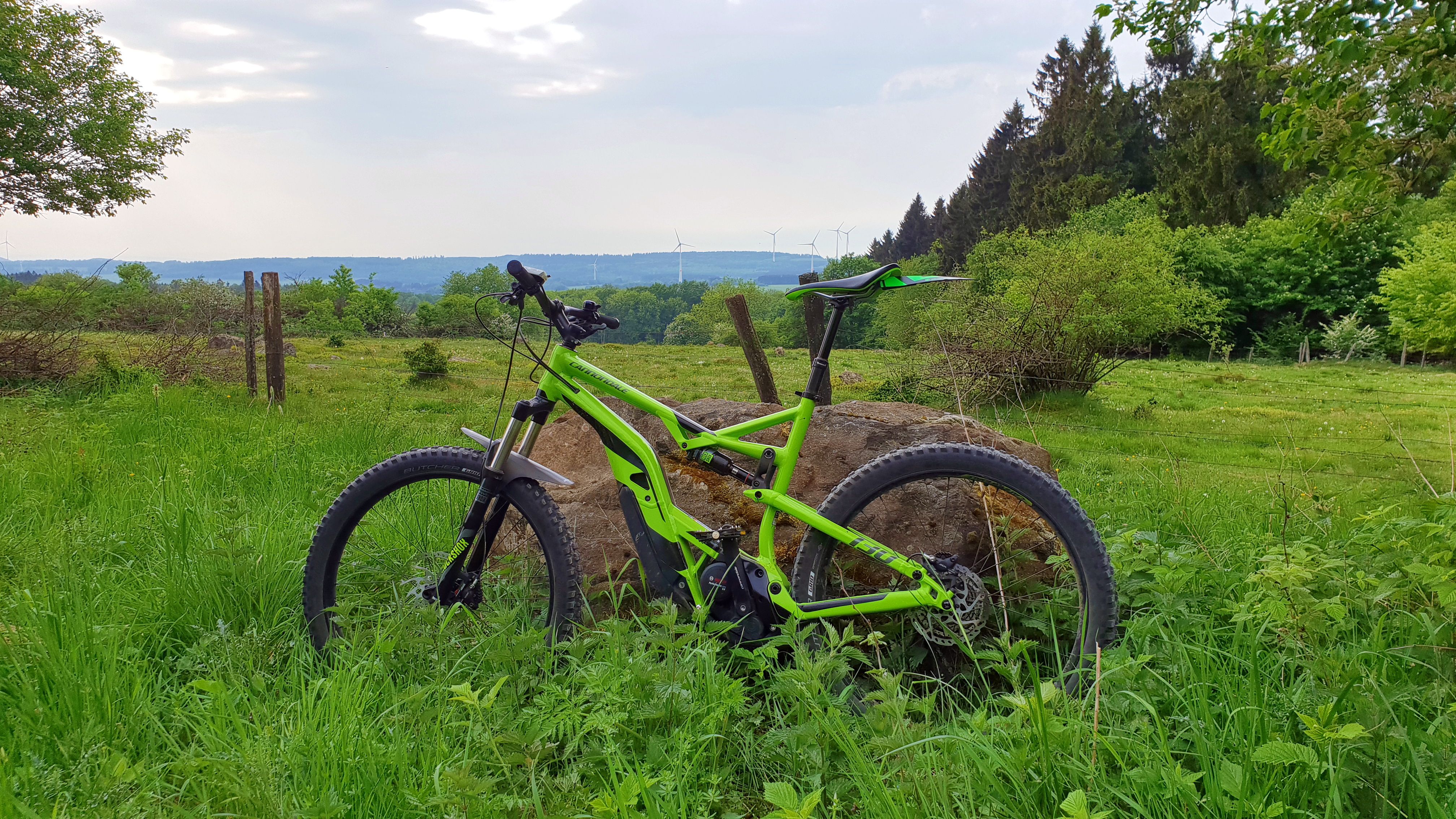 20180513_094530.jpg