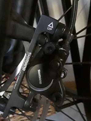 20180812_181738_crop_298x397.jpg