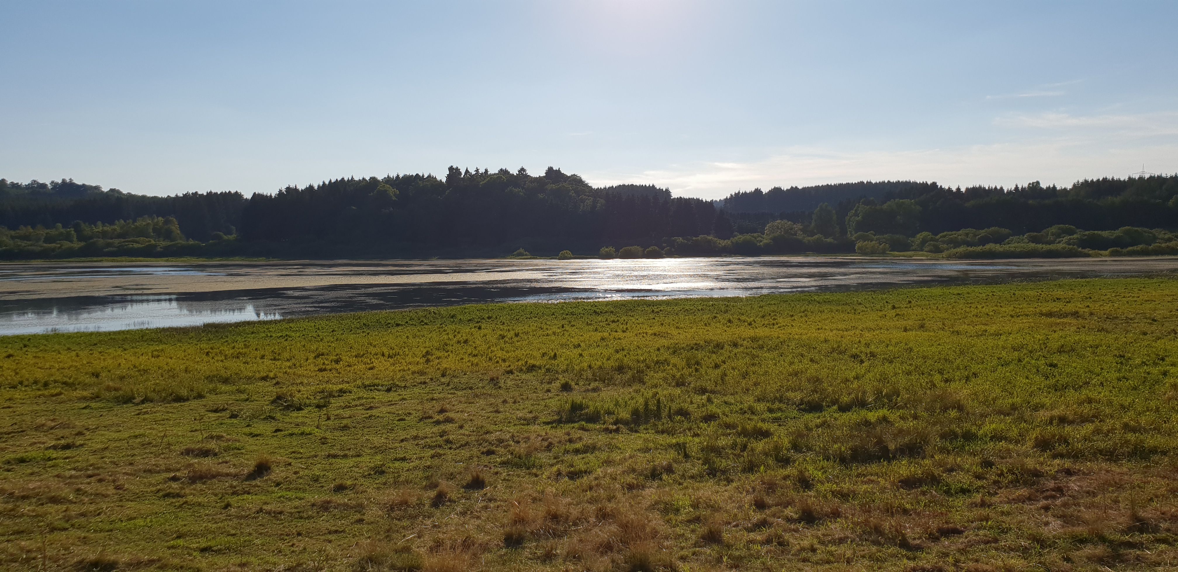20180816_183722.jpg