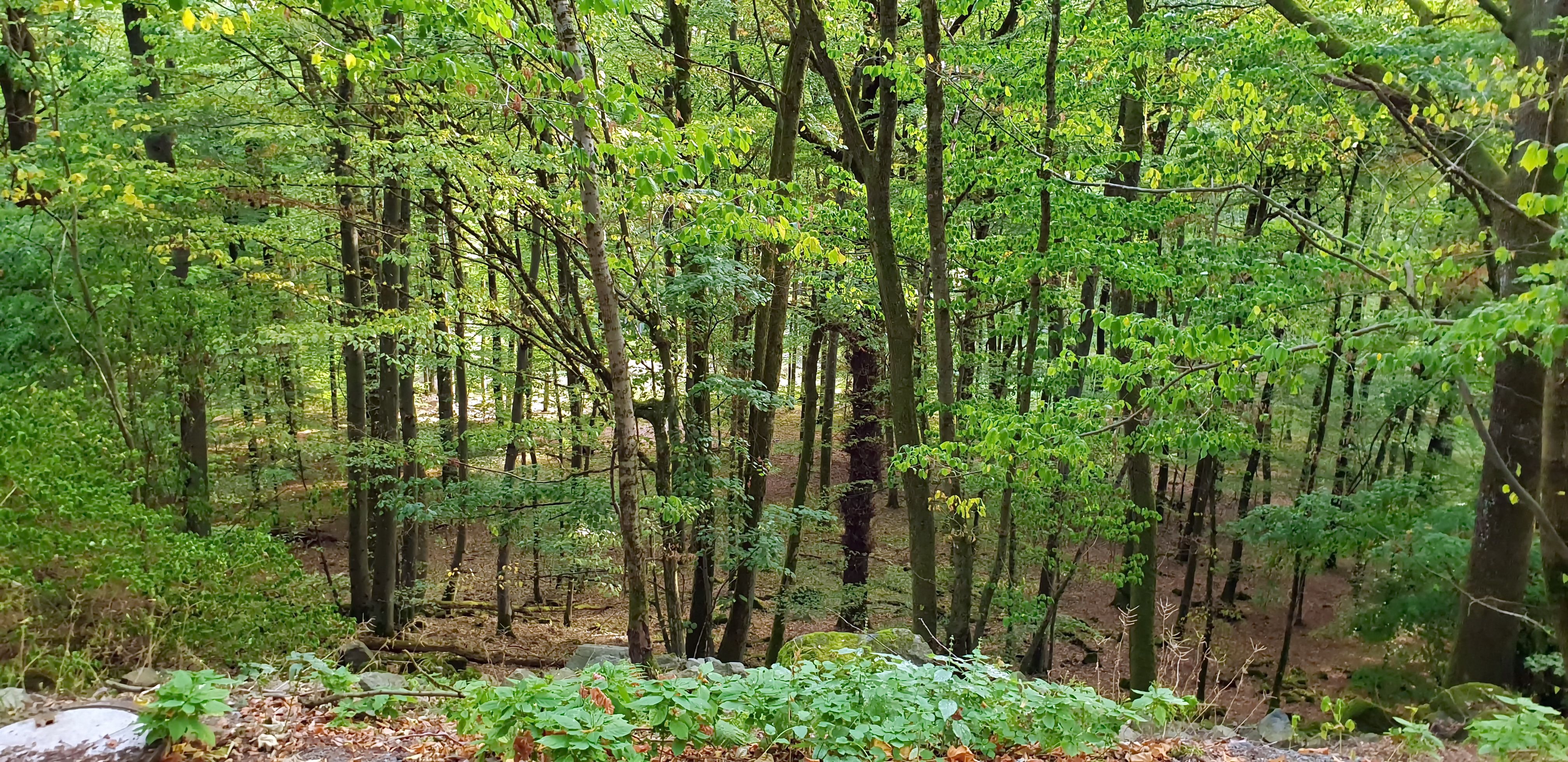 20180909_091556.jpg