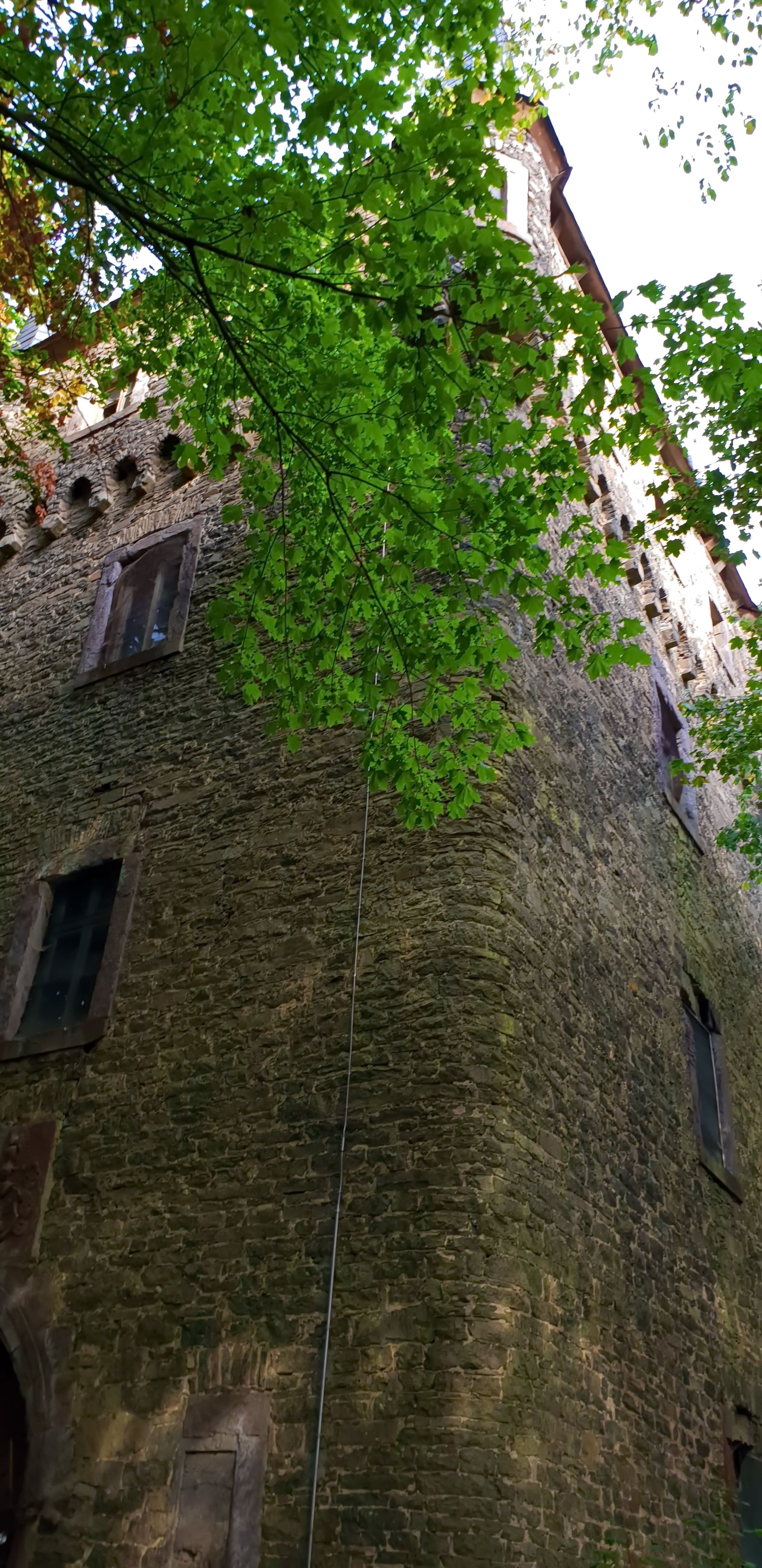20180909_091605.jpg