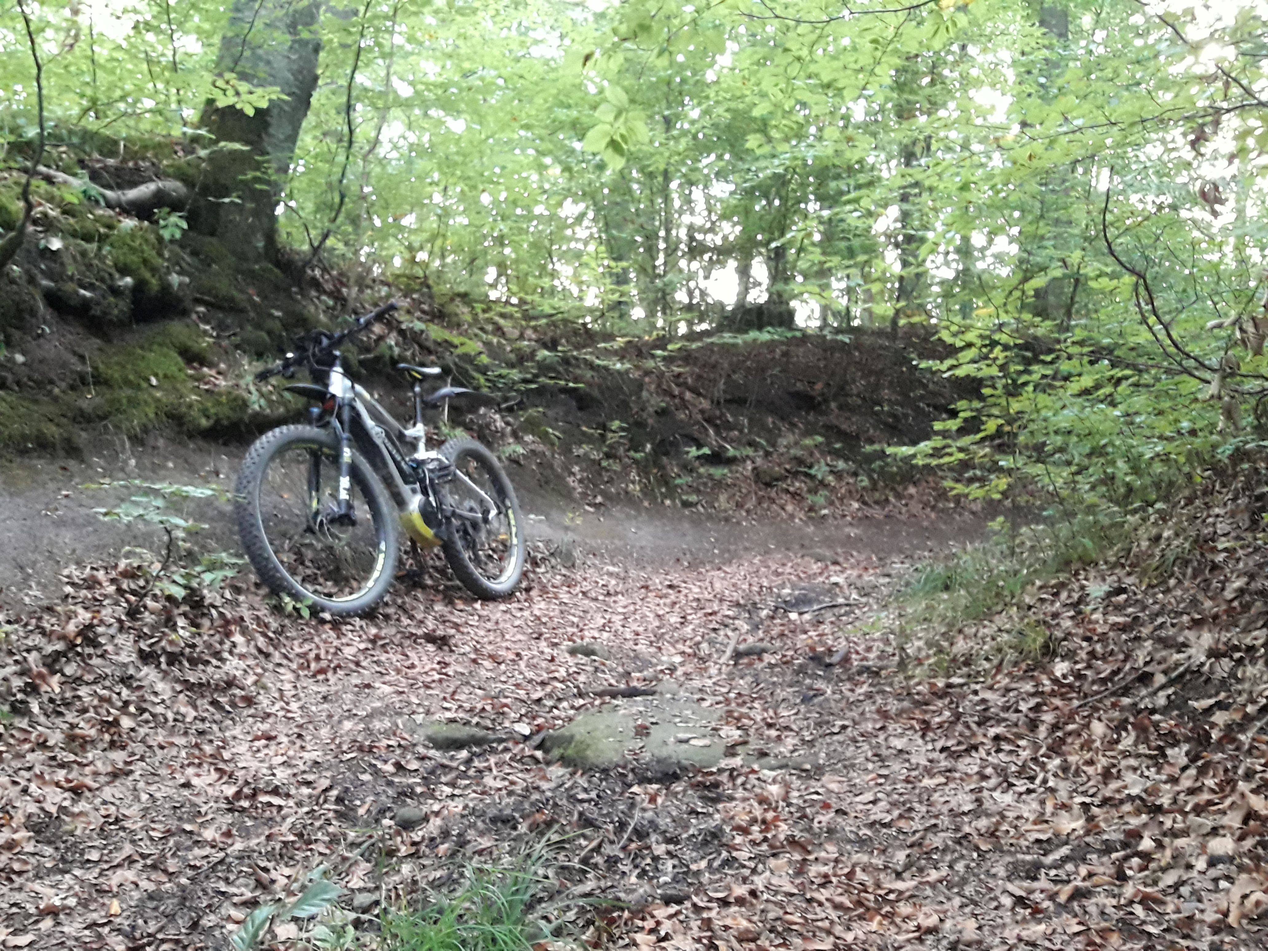 20180918_181017.jpg