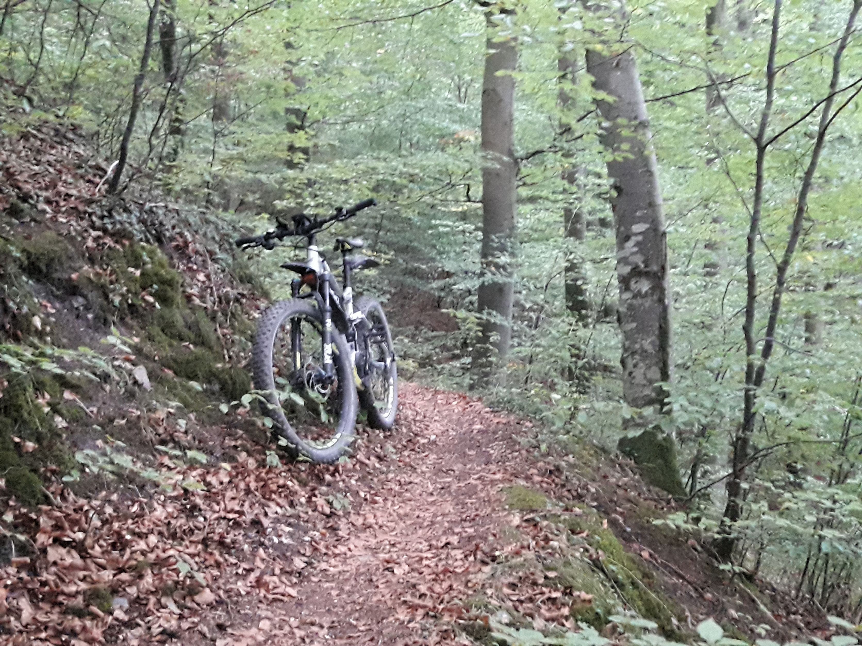 20180918_192452.jpg