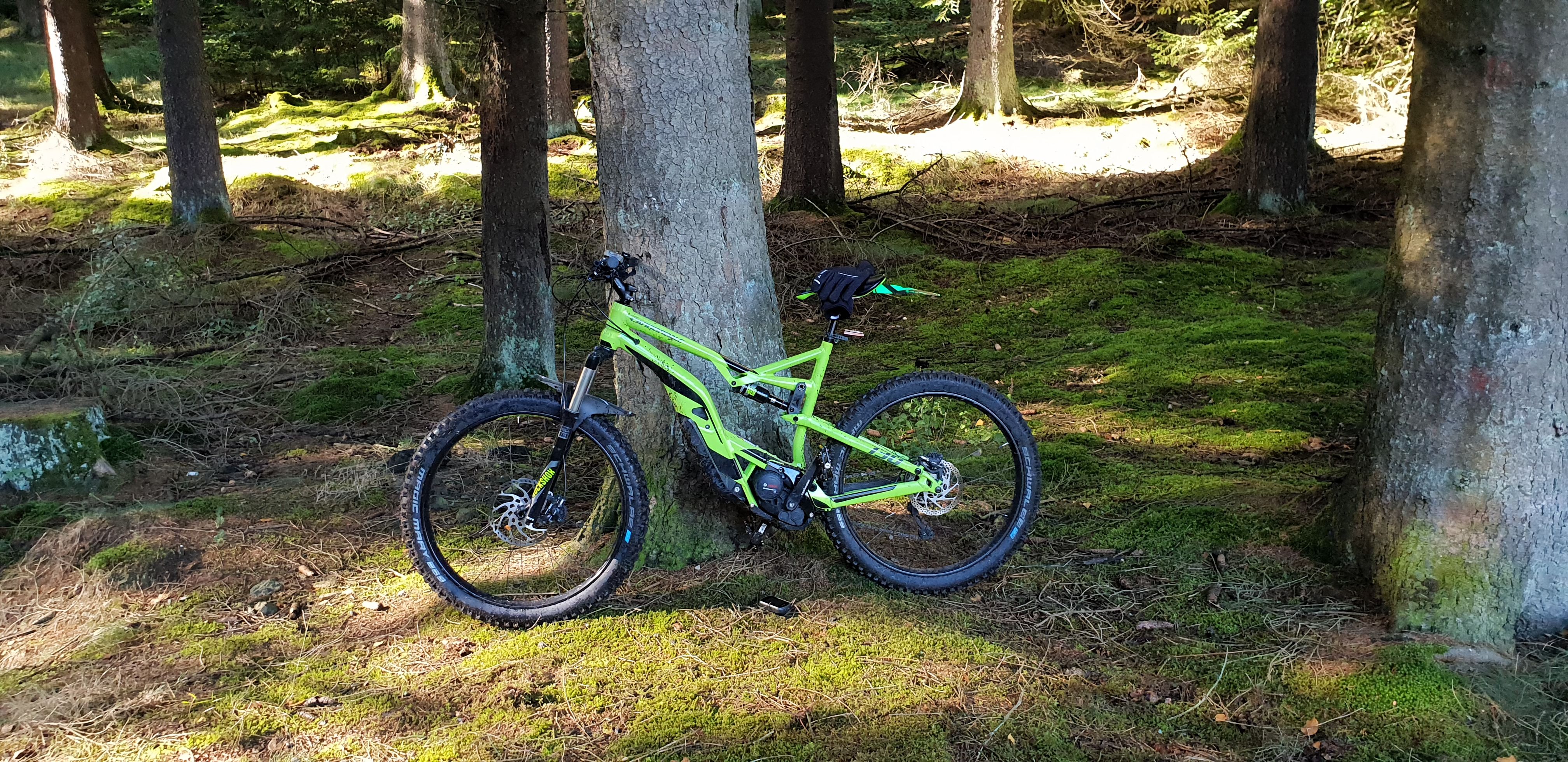 20180925_104405.jpg