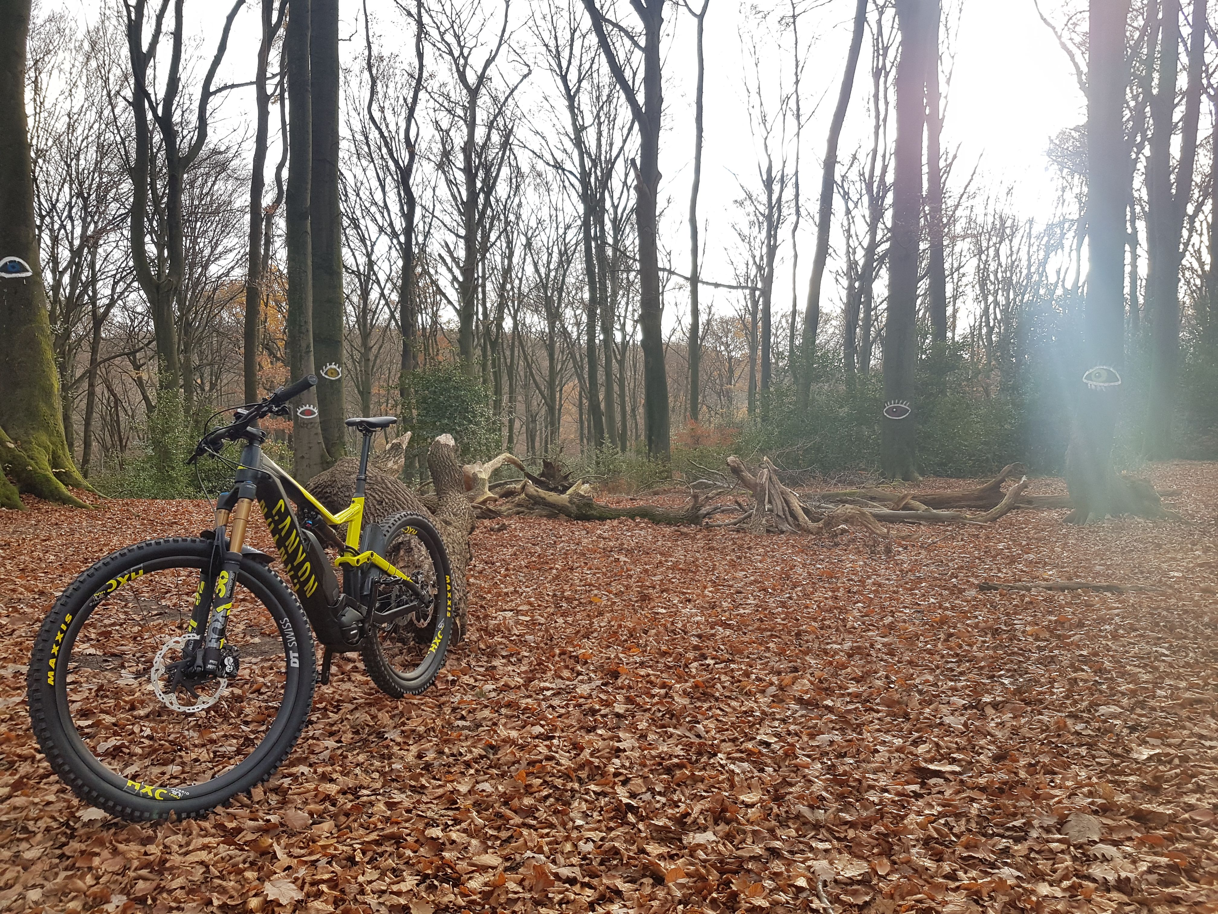 20181201_130737.jpg