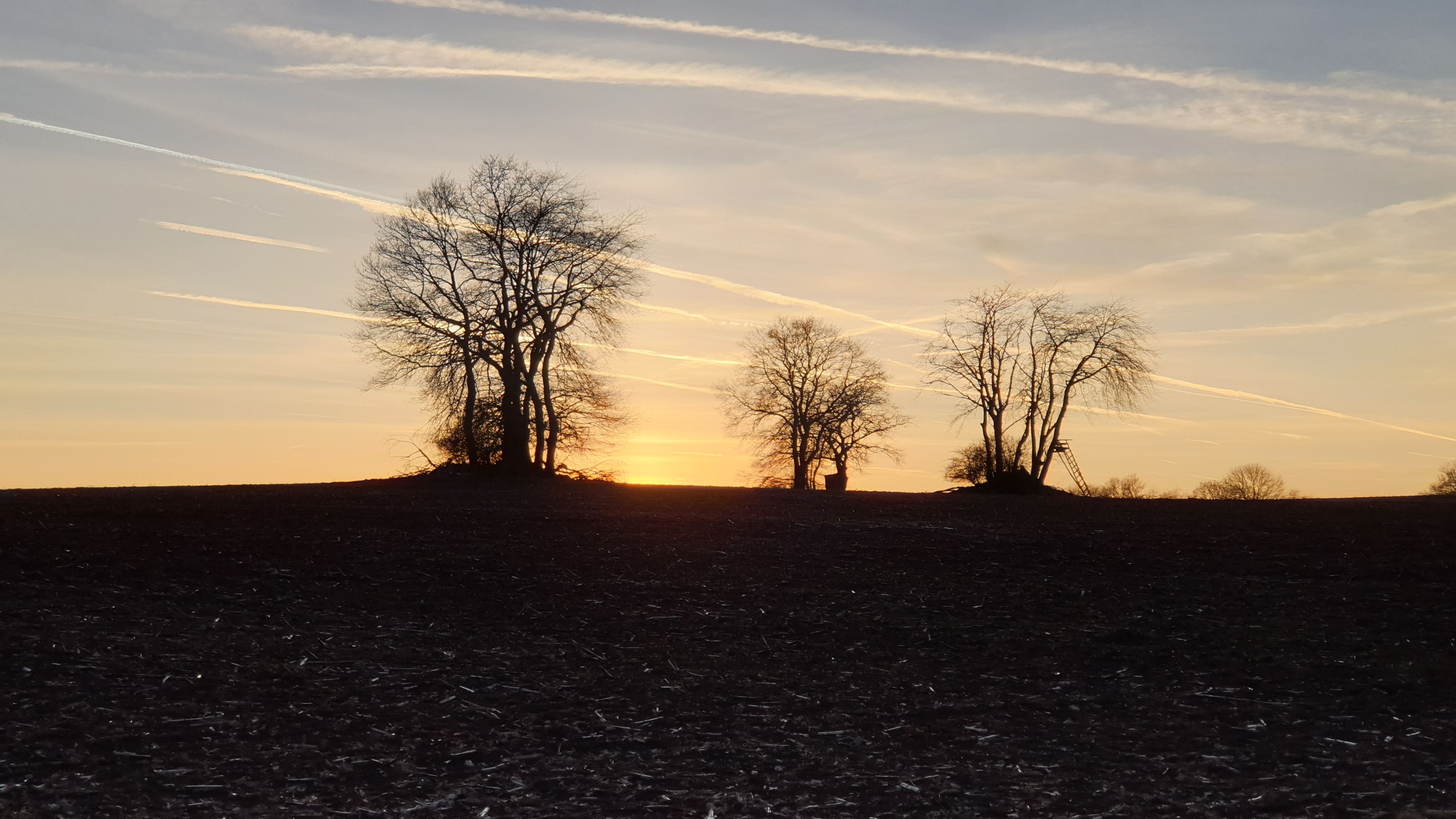 20190226_175642.jpg