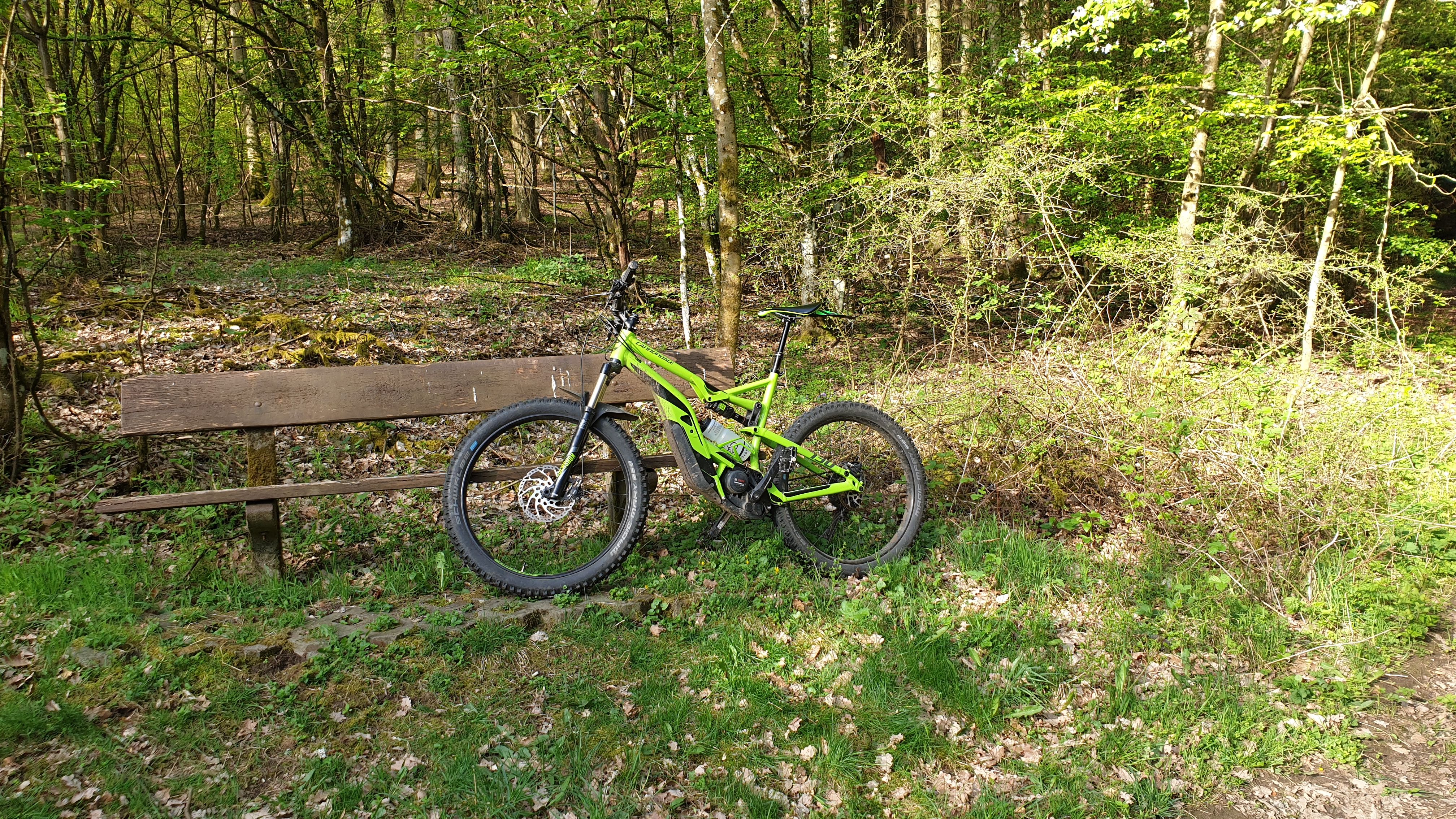 20190422_085442.jpg