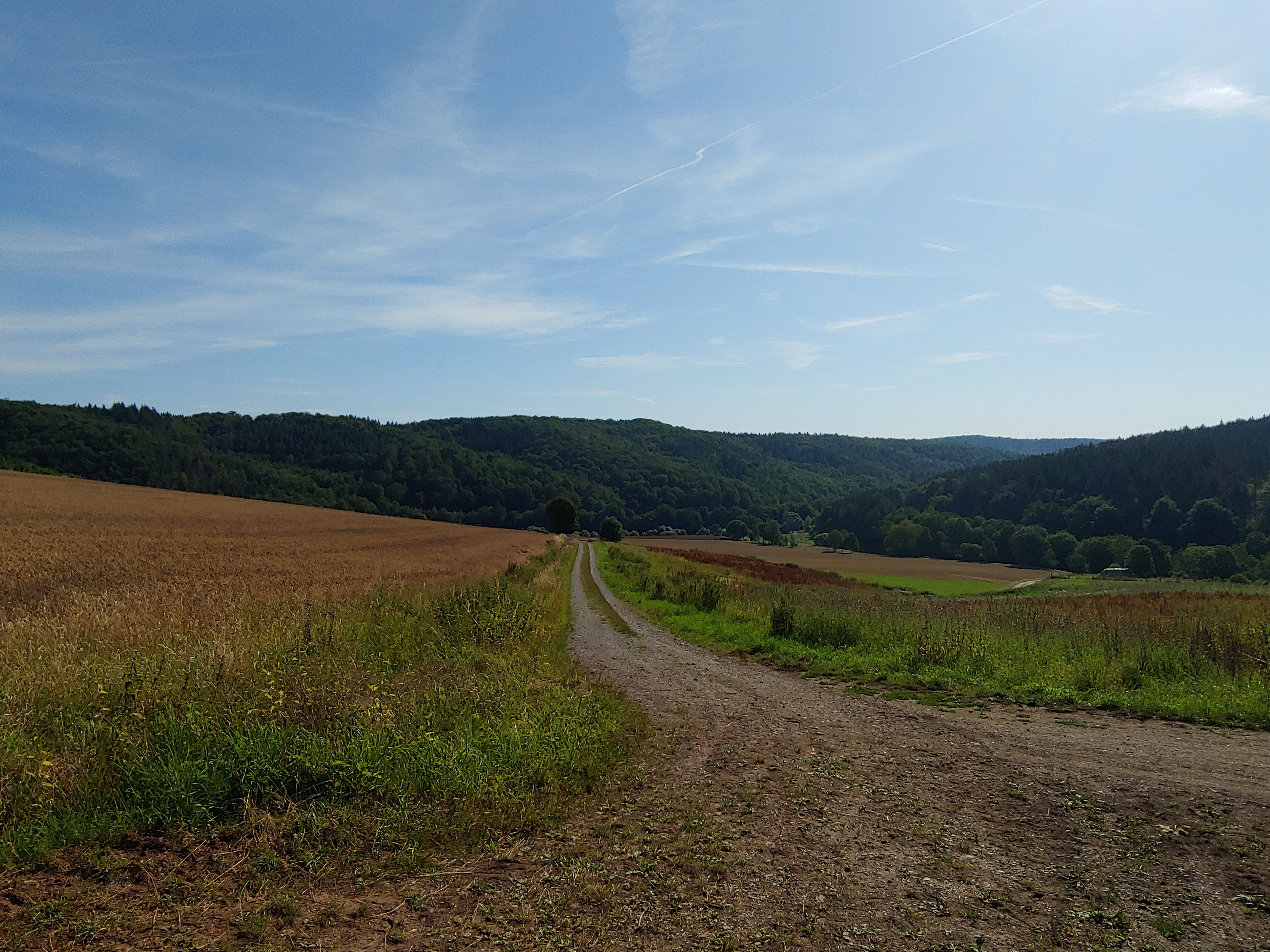 20190724_092803.jpg