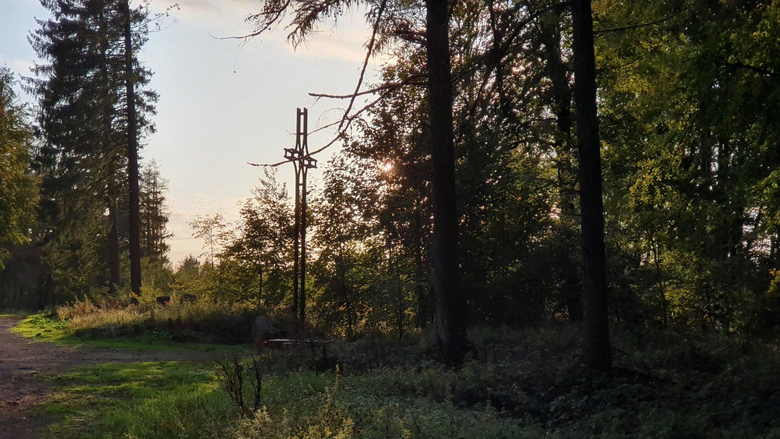 20190927_183622.jpg