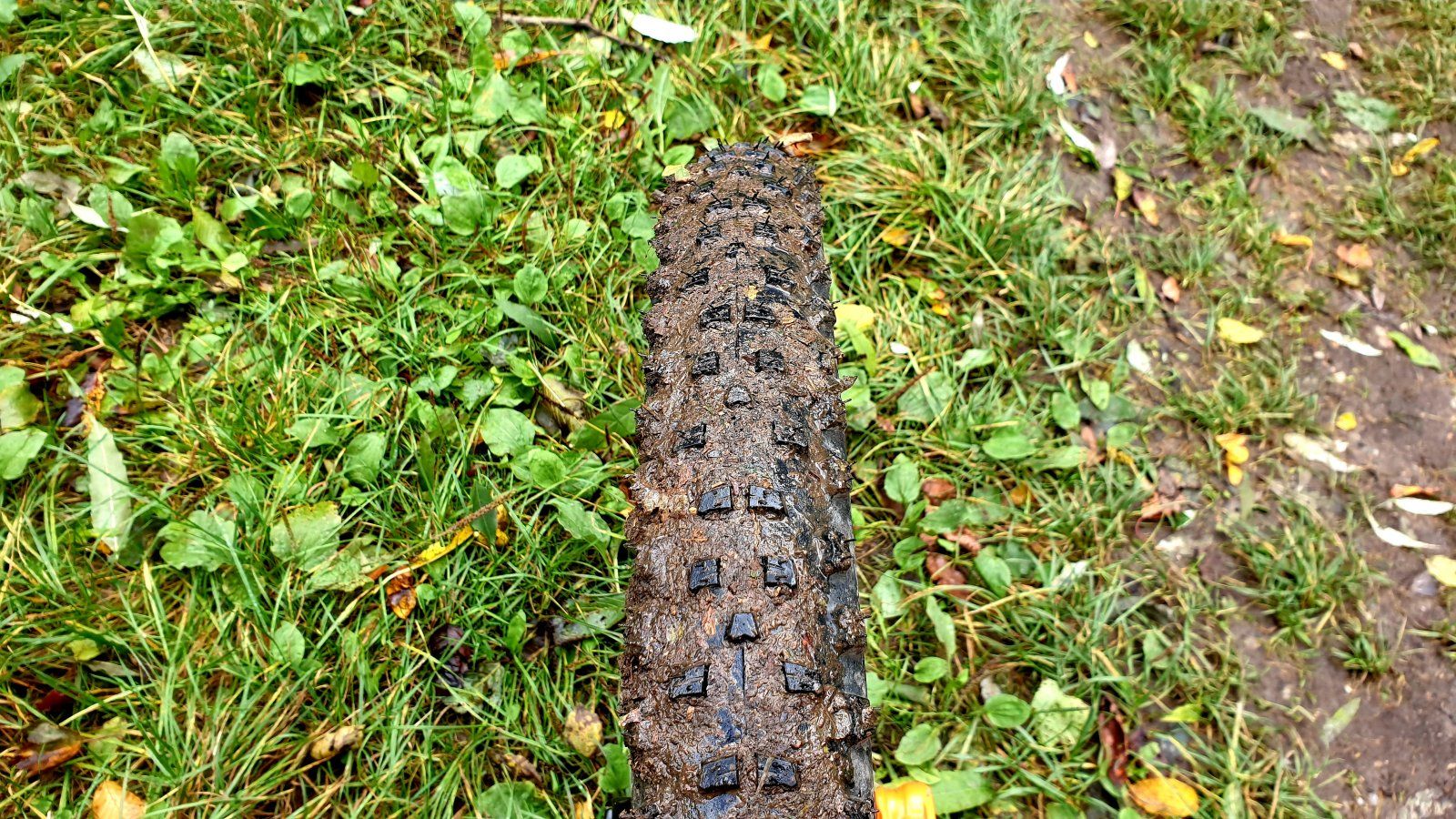 20191006_113656.jpg