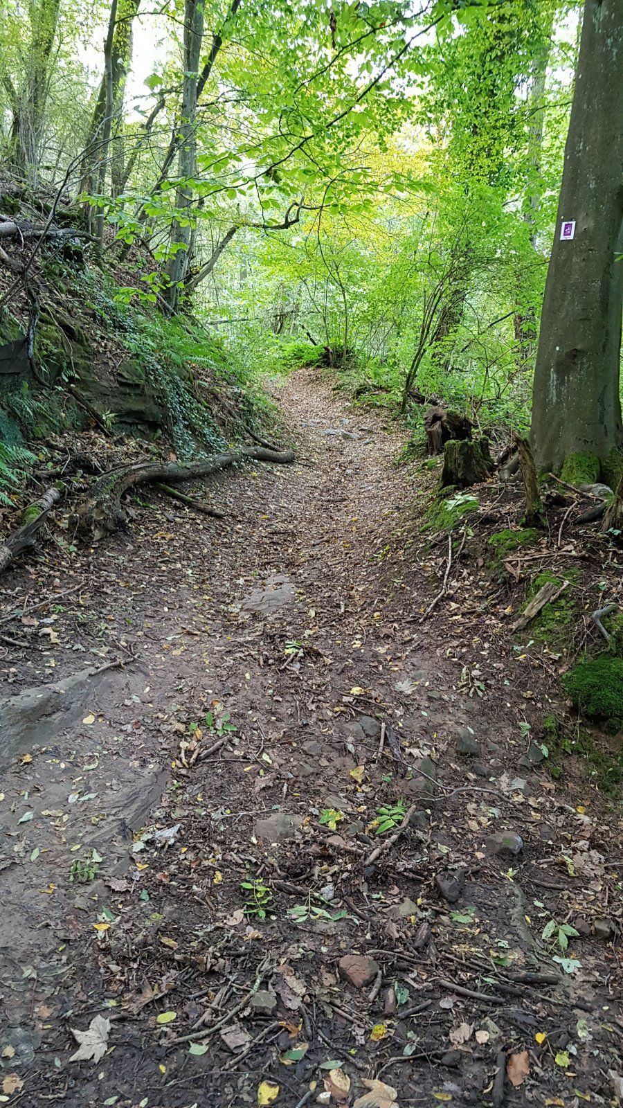 20191012_130247.jpg