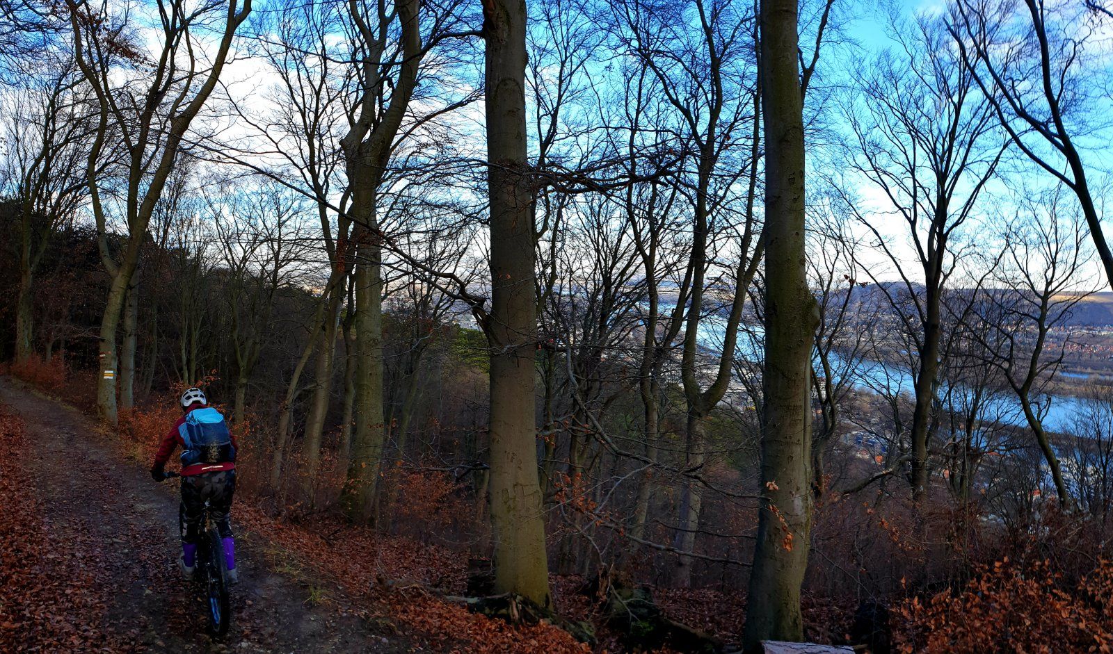 20191226_120610.jpg