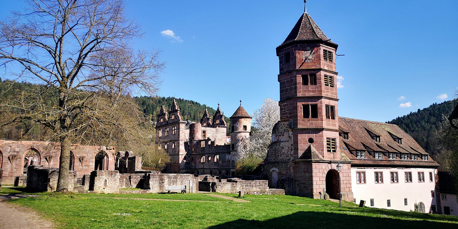 2020-04-11_Schweinbachtal_07.jpg