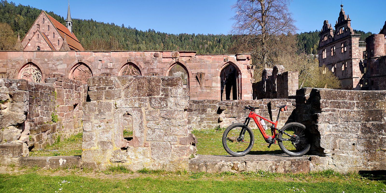 2020-04-11_Schweinbachtal_08.jpg