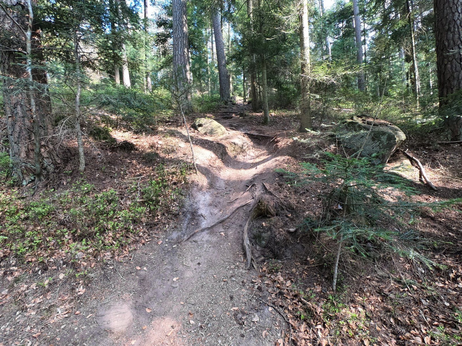 2020-04-13_Monakam_05.JPG