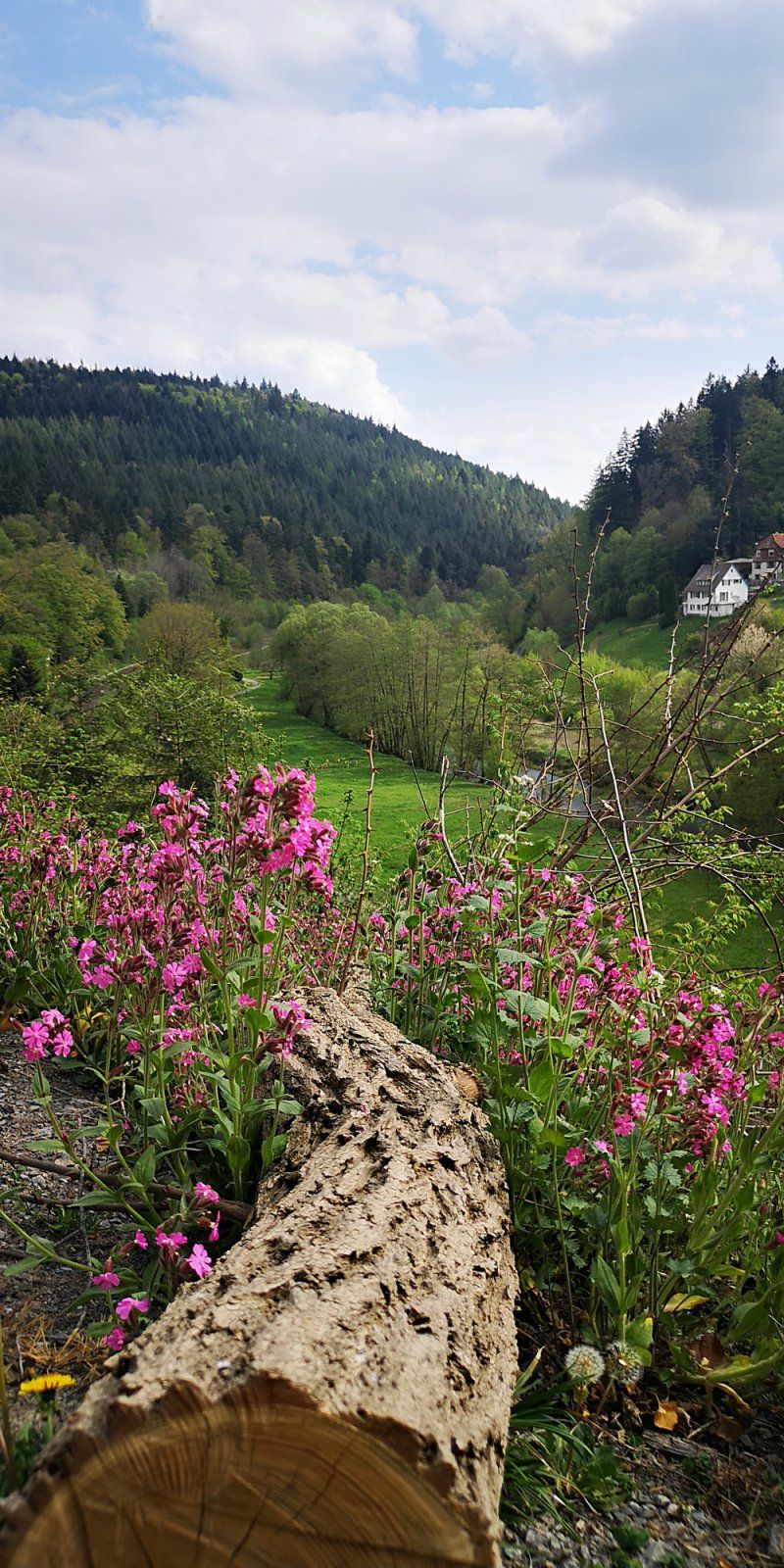 2020-04-19_Dennjaecht_04.jpg