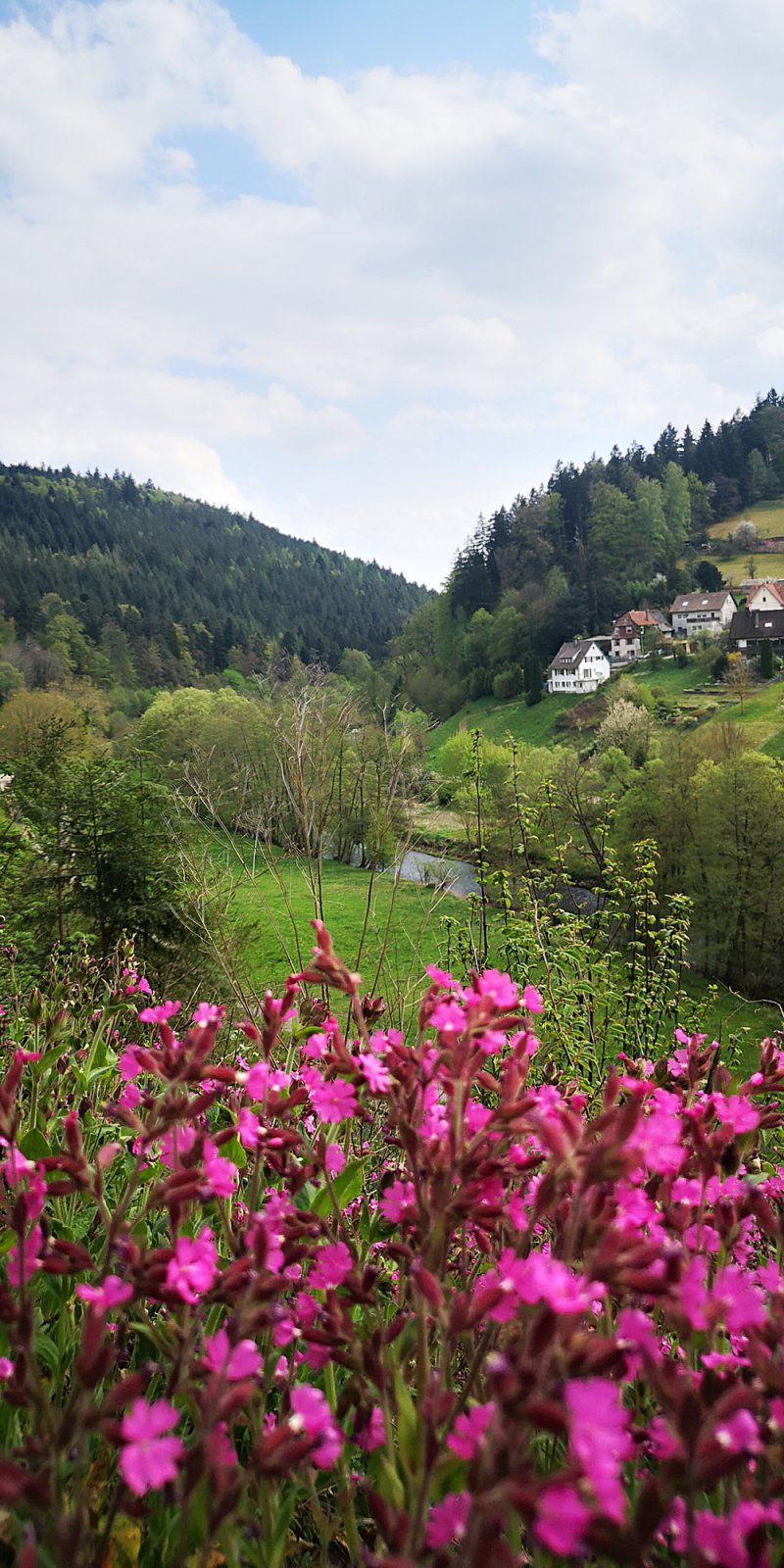 2020-04-19_Dennjaecht_06.jpg