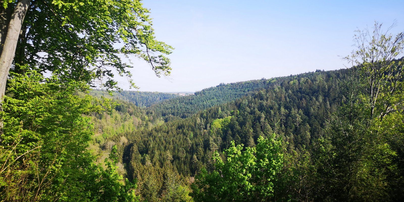 2020-04-24 BurgLiebeneck-Wolfsgrube_01.jpg