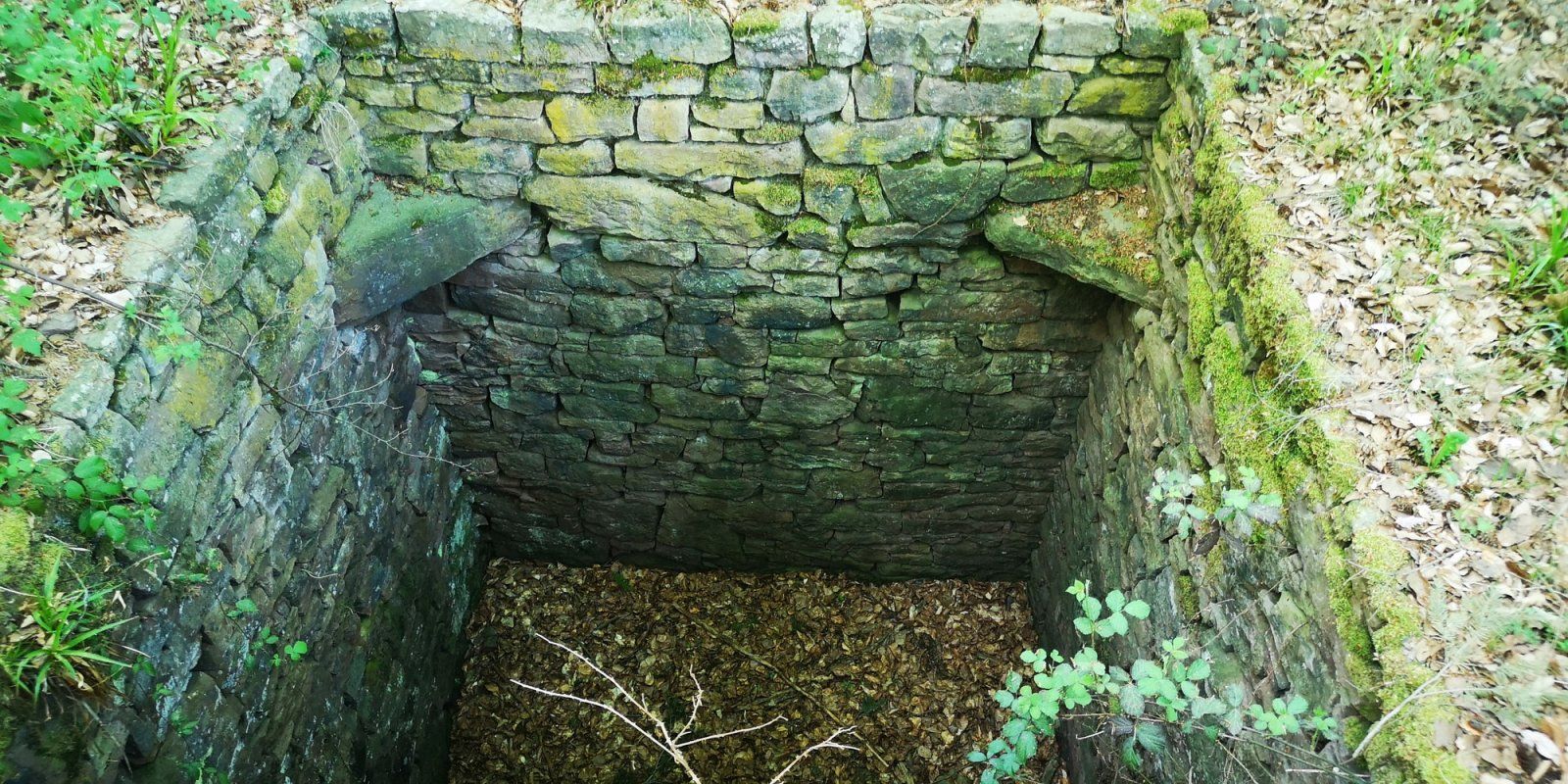 2020-04-24 BurgLiebeneck-Wolfsgrube_08.jpg