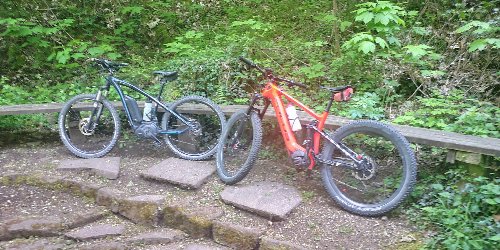 2020-05-05 Hamberg_01.jpg