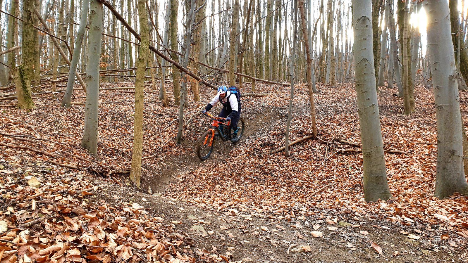 20200111_135602.jpg