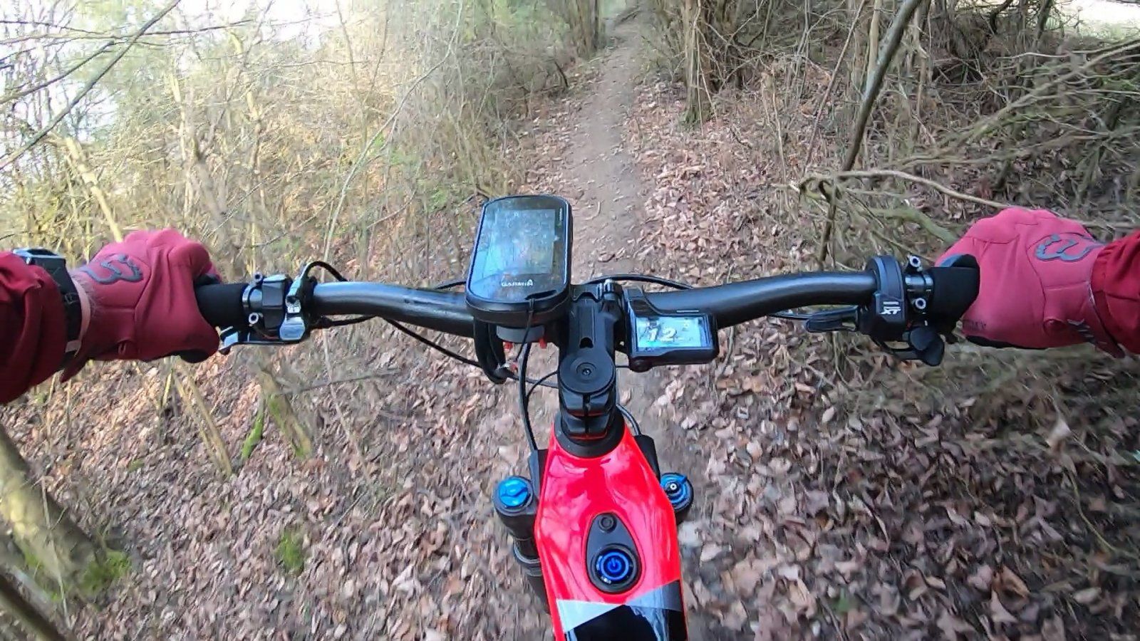 20200320_GoPro_05.jpg