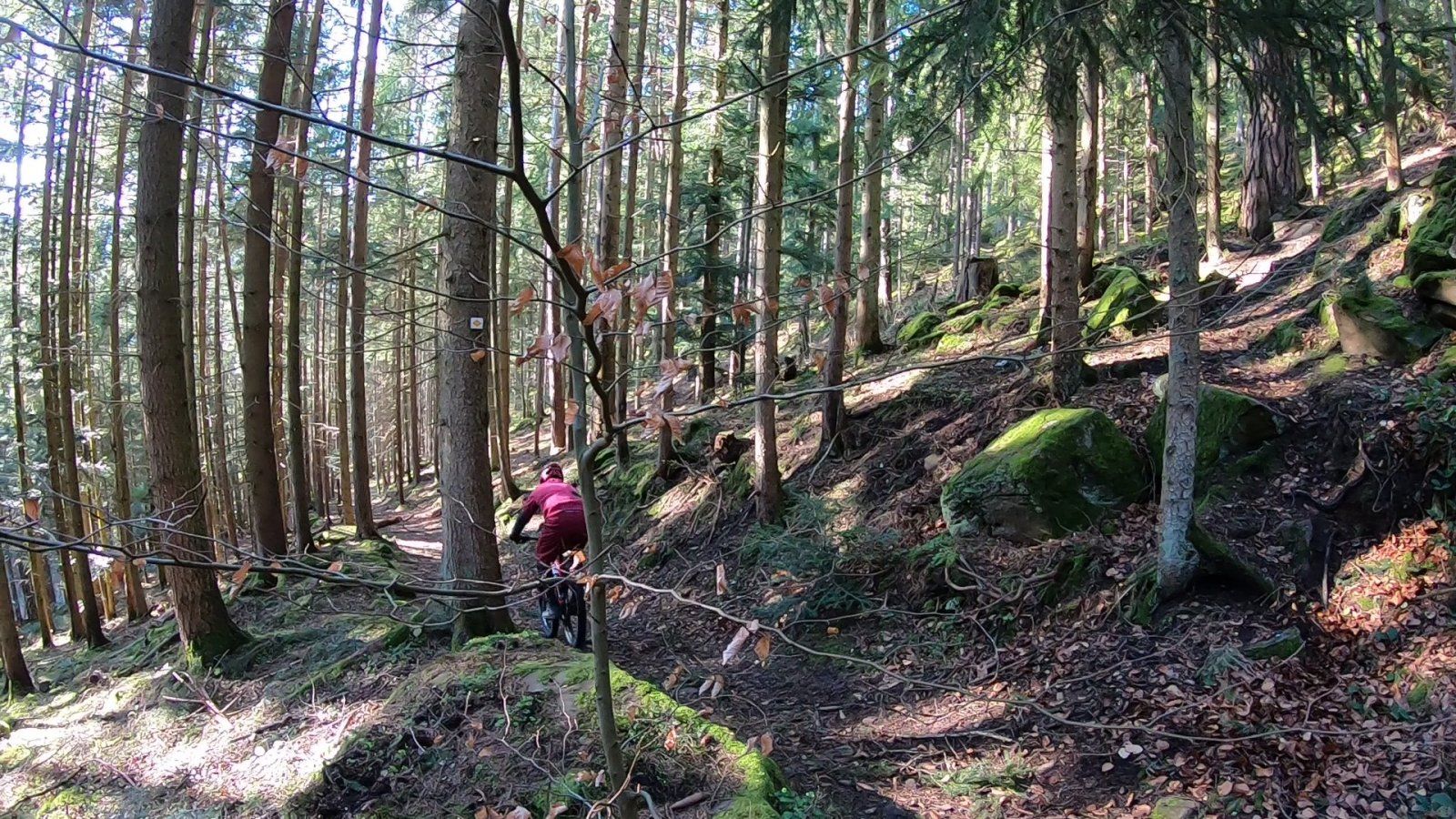 20200322_GoPro_08.jpg
