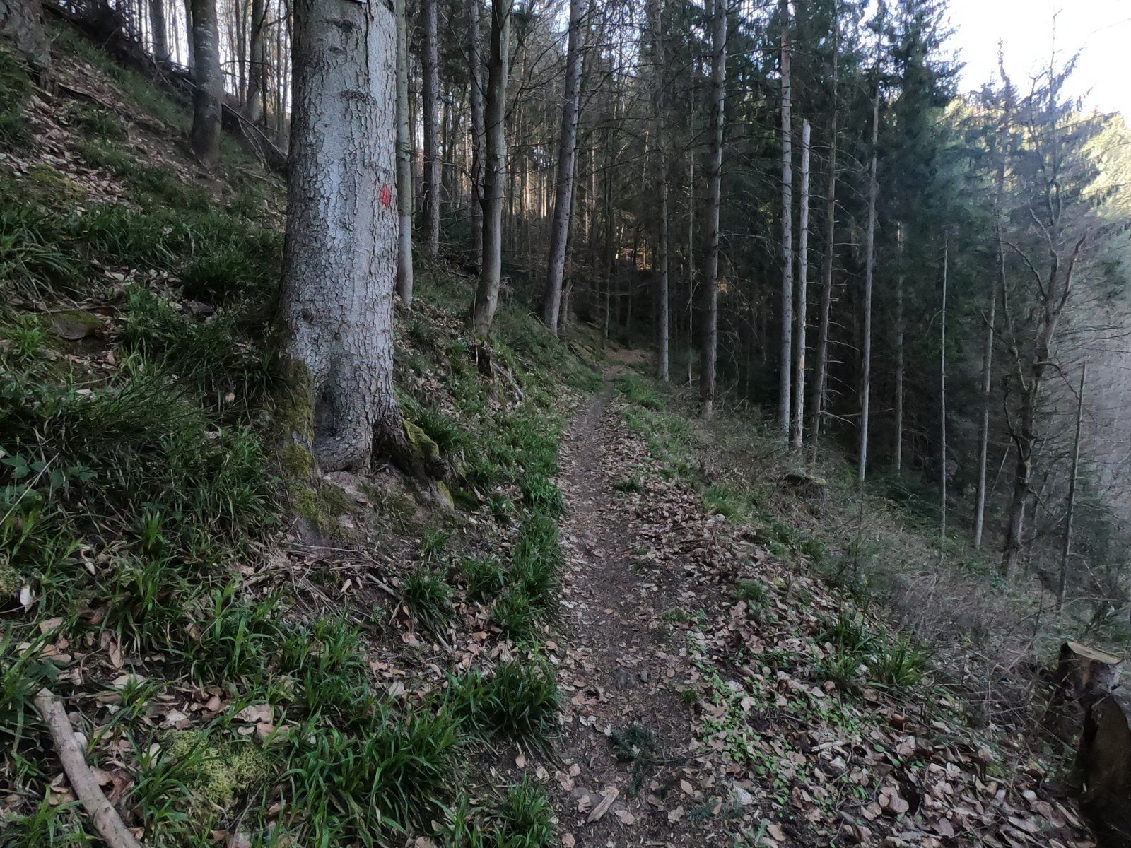 20200328_GOPRO_06.JPG
