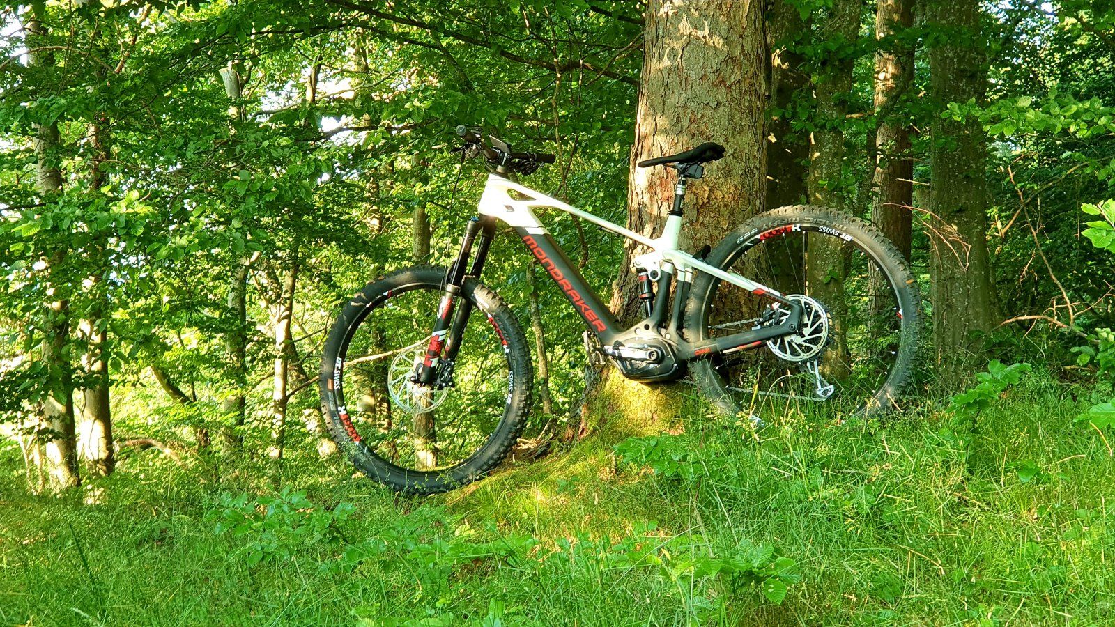 20200626_211555.jpg